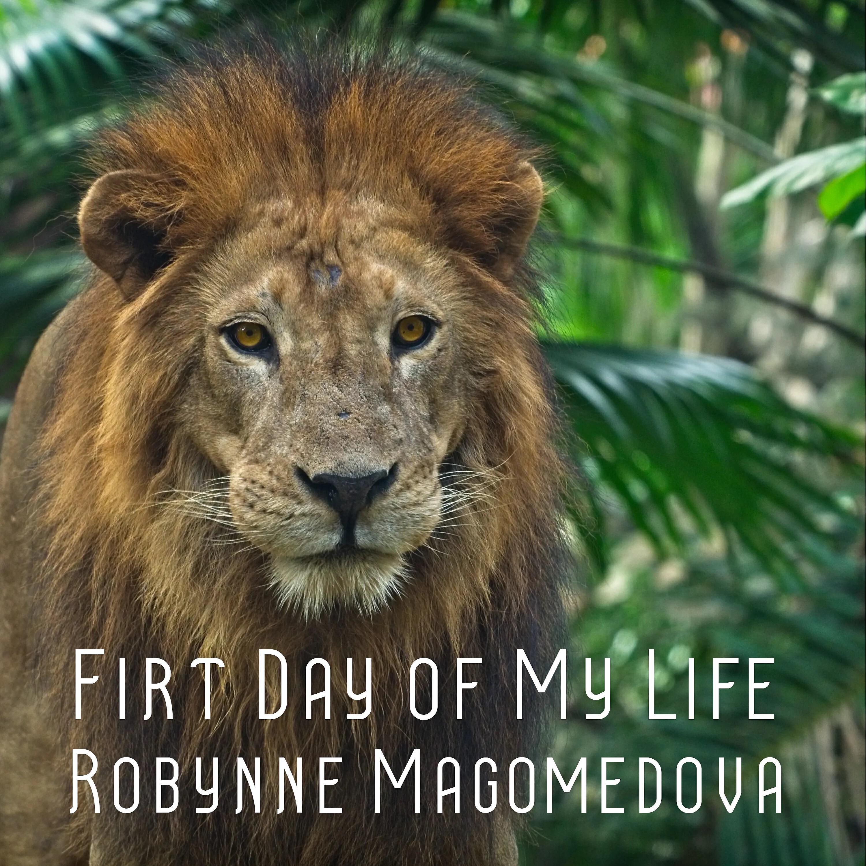 Robynne Magomedova