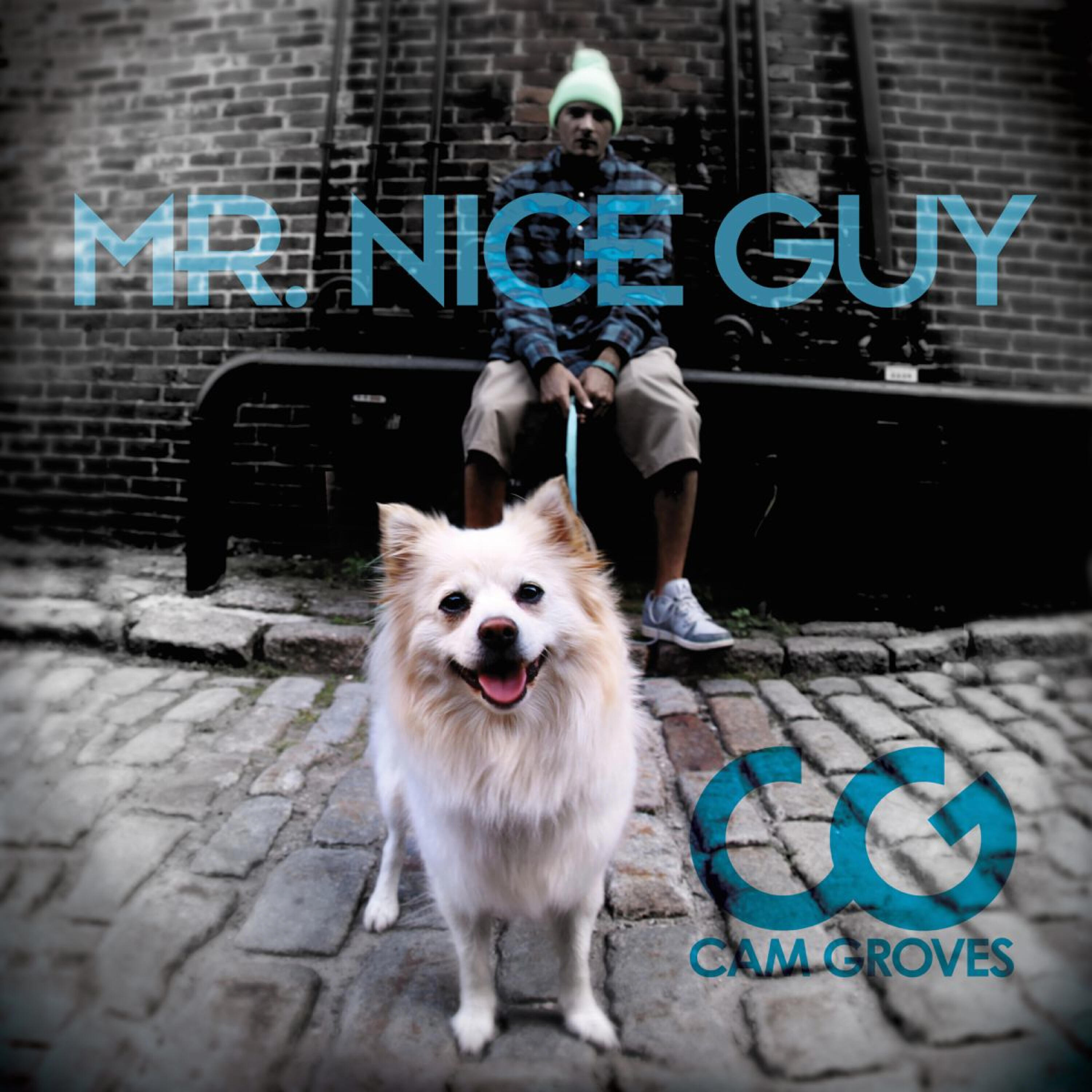 Релиз Mr. Nice Guy