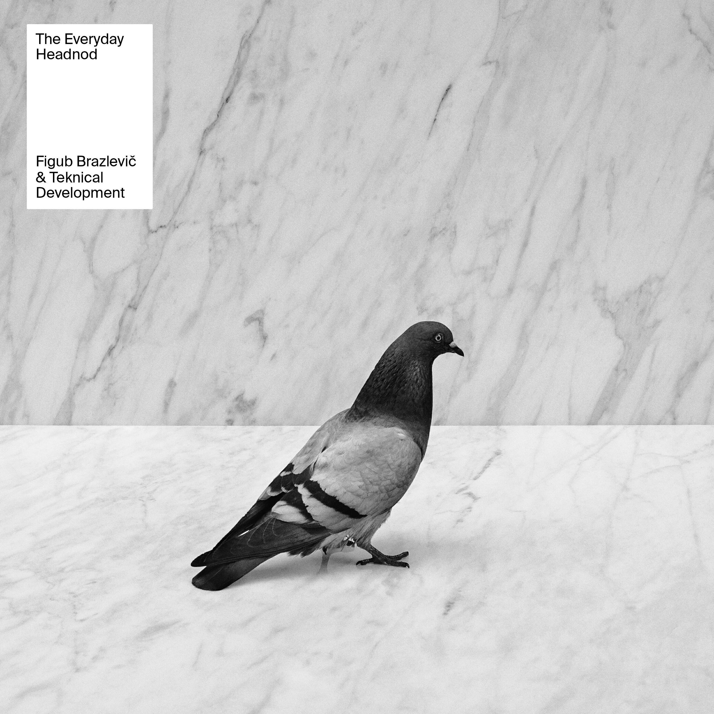 Релиз The Everyday Headnod