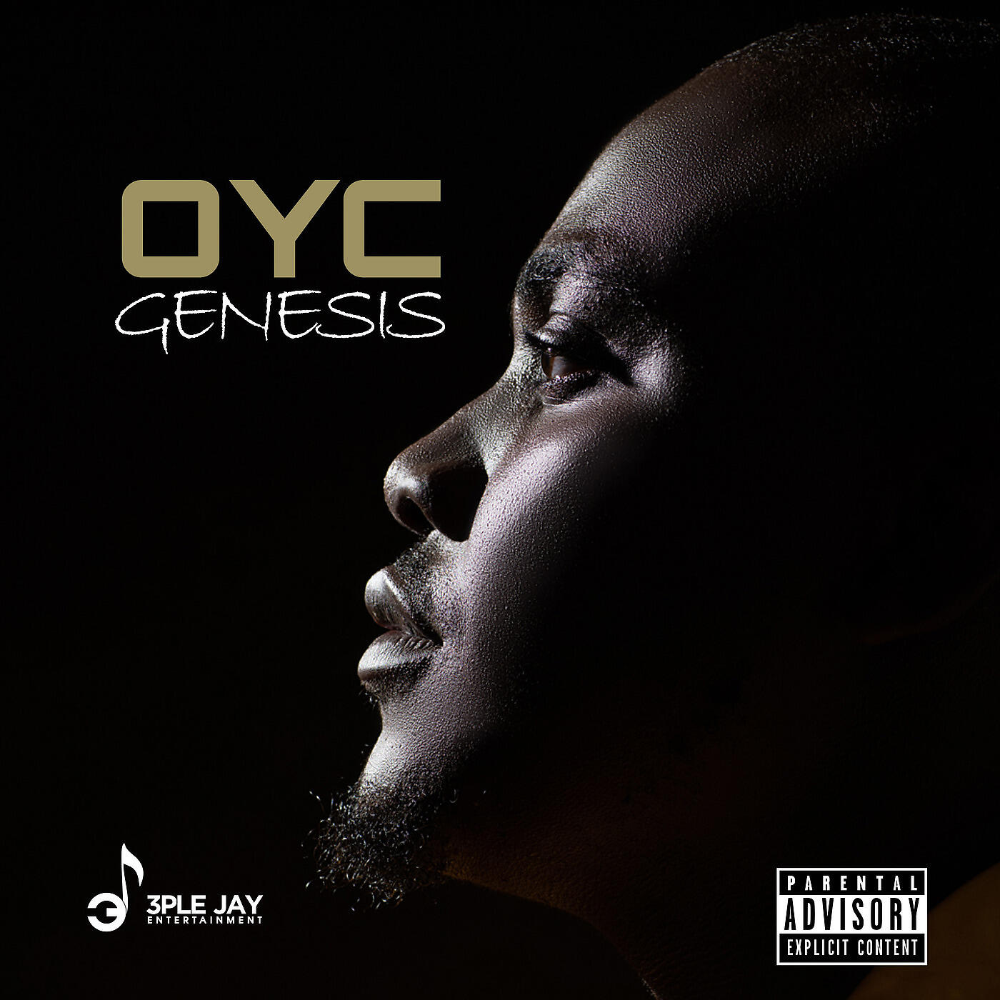 Релиз Genesis