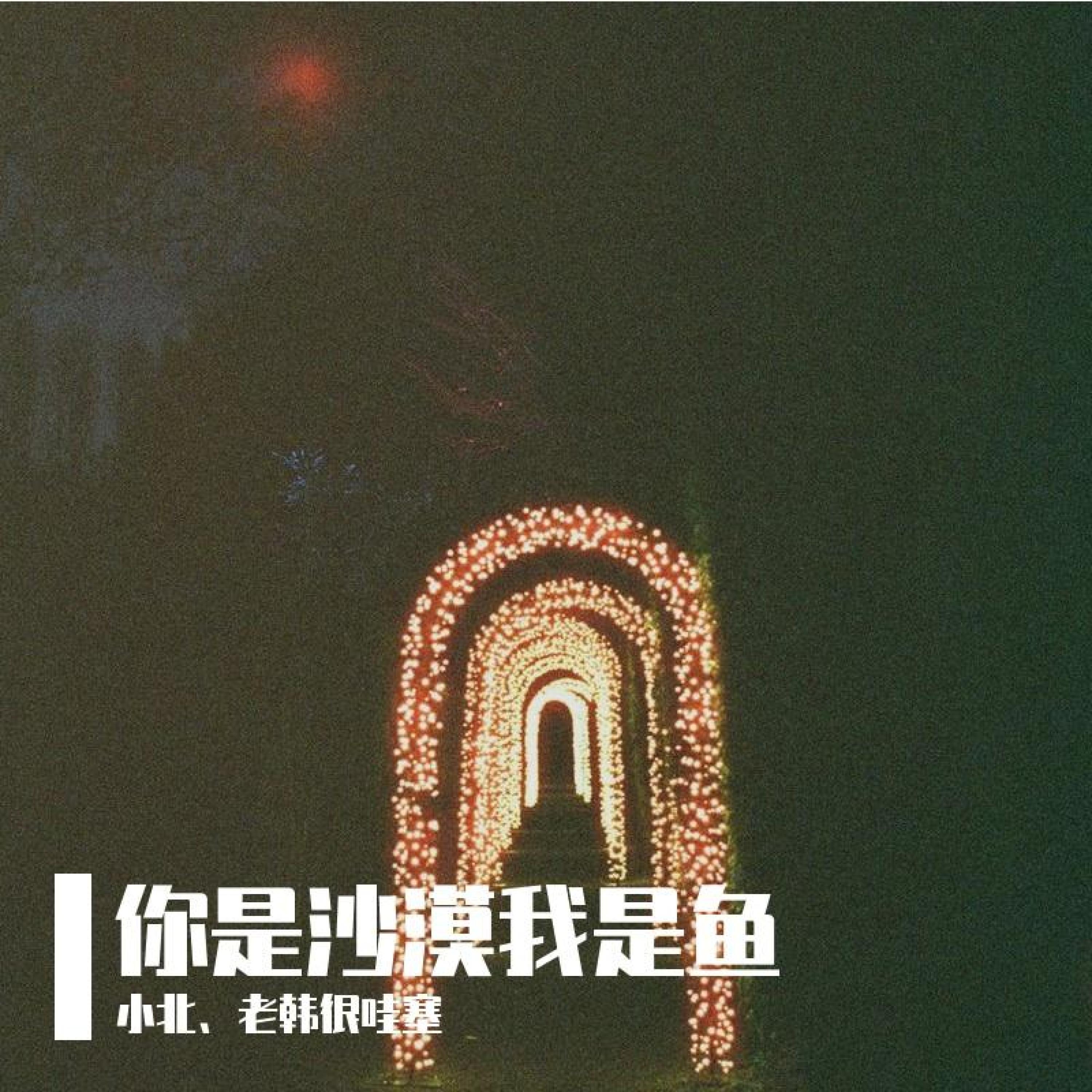 Релиз 你是沙漠我是鱼