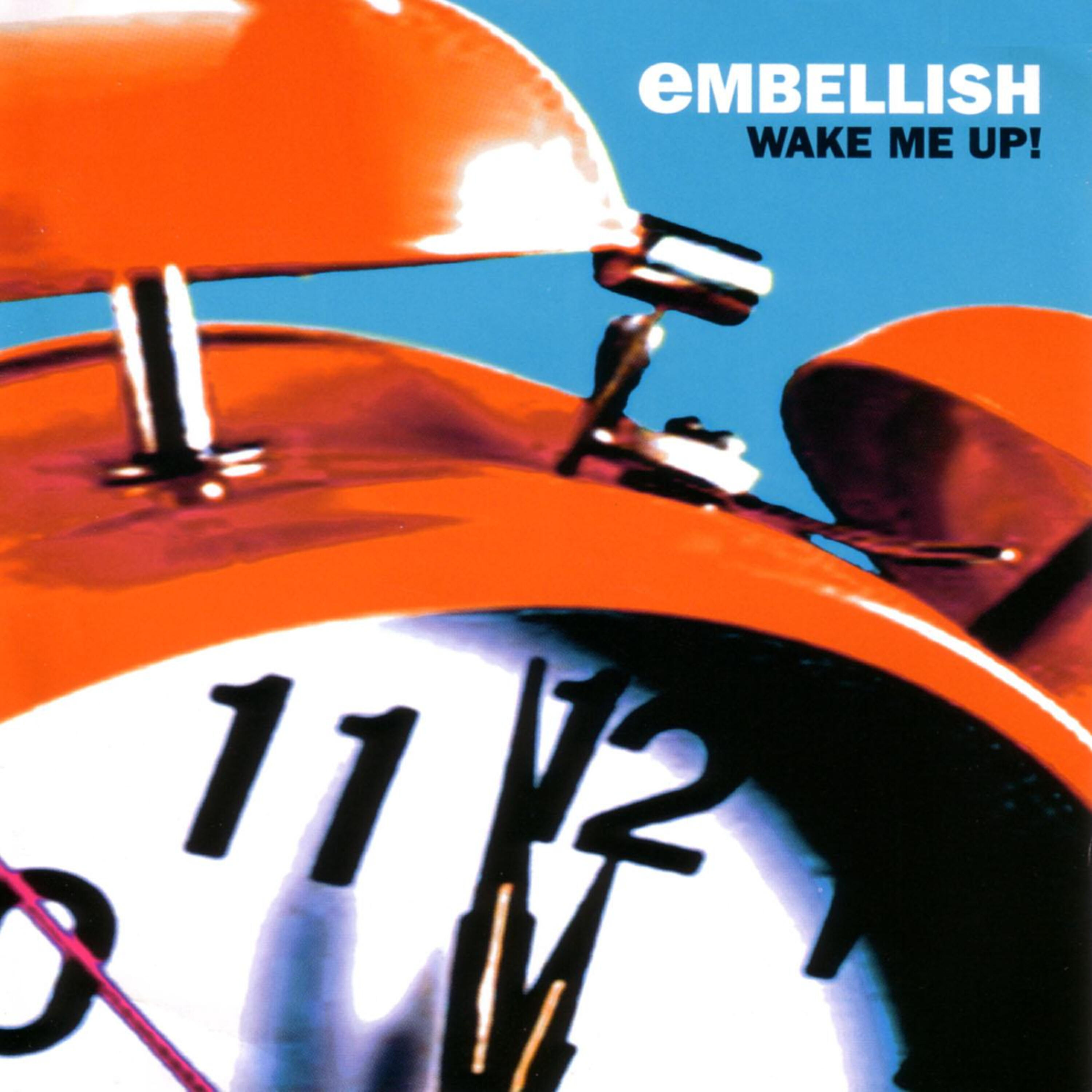 Релиз Wake Me Up!