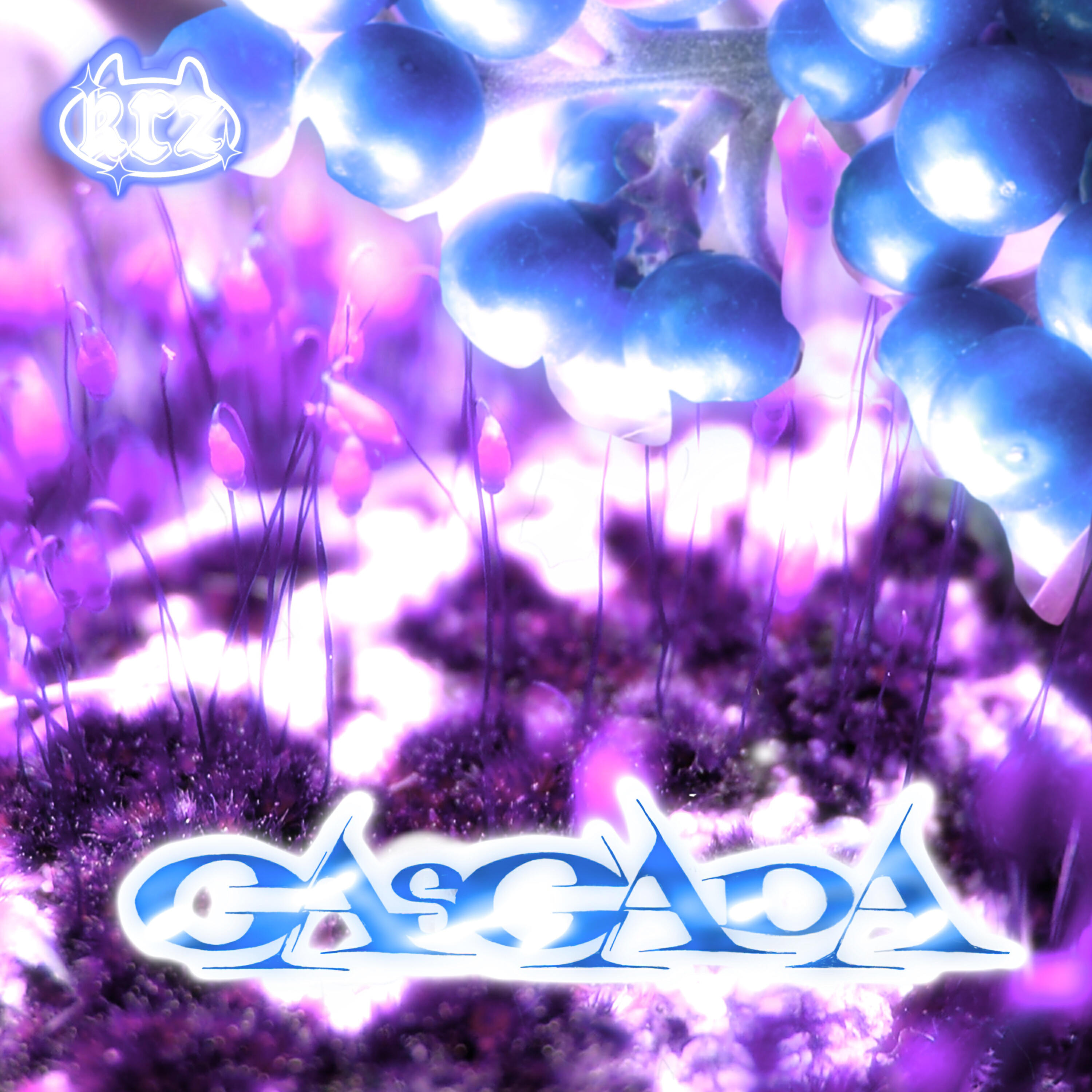 Релиз Cascada