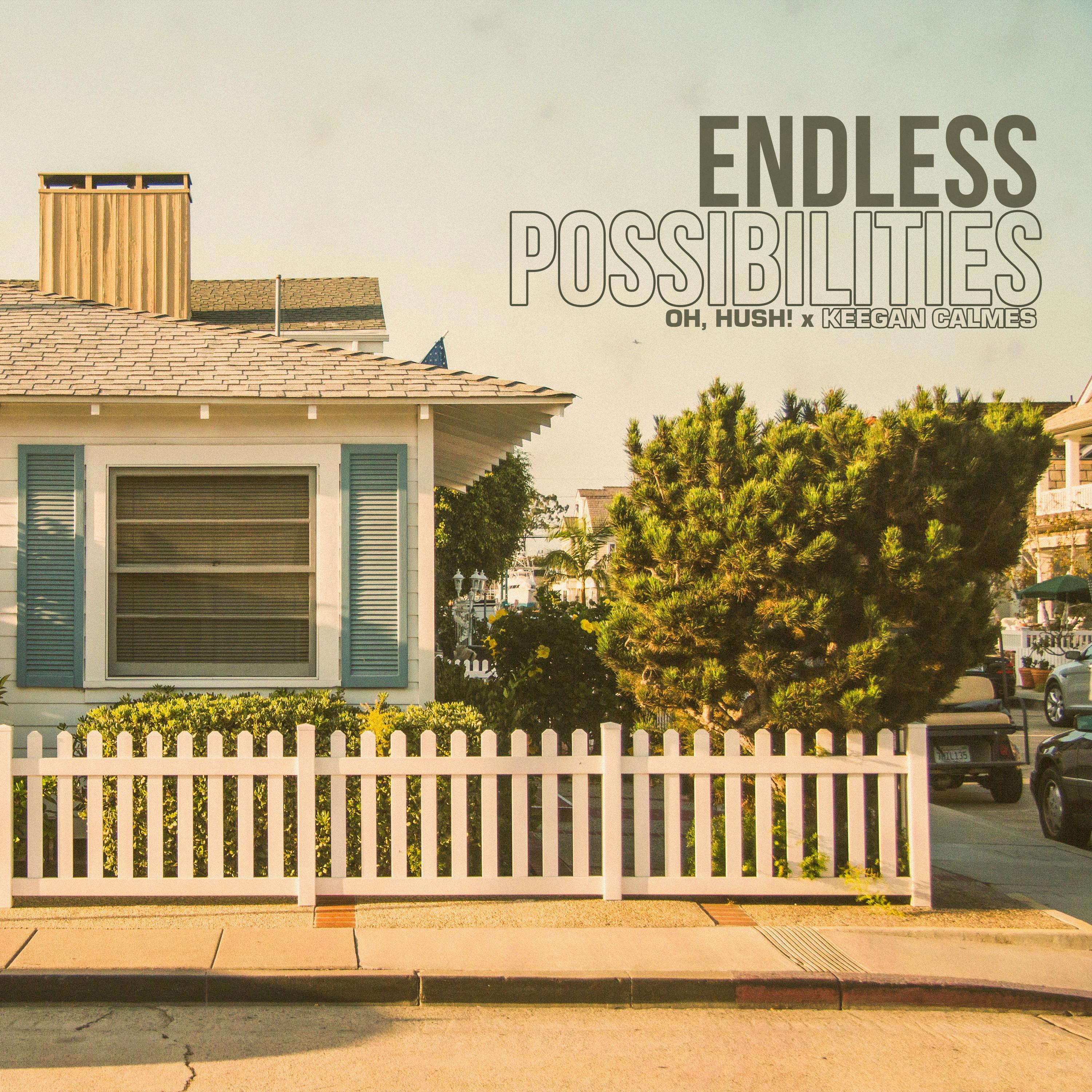 Релиз Endless Possibilities