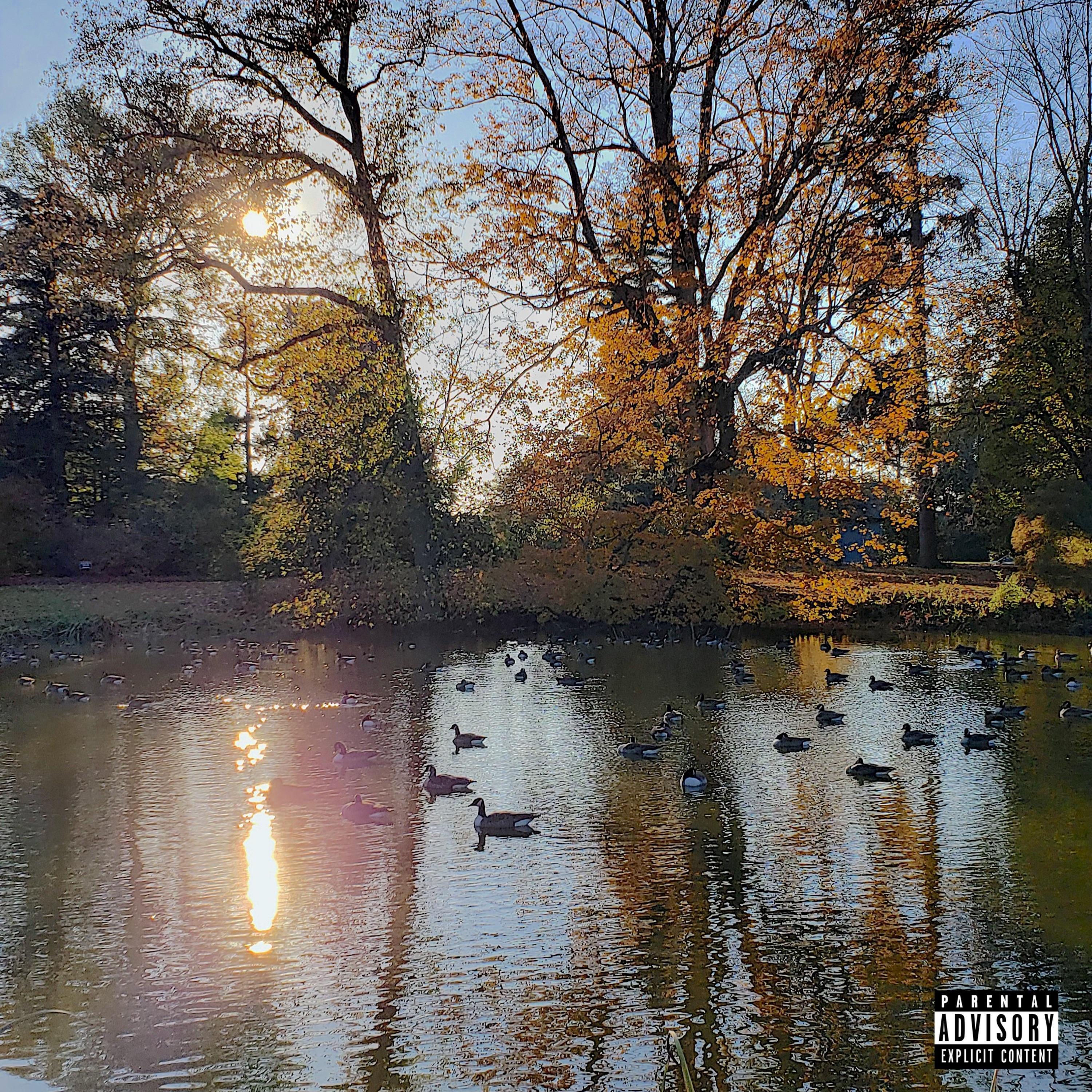 Релиз SITTING DUCKS