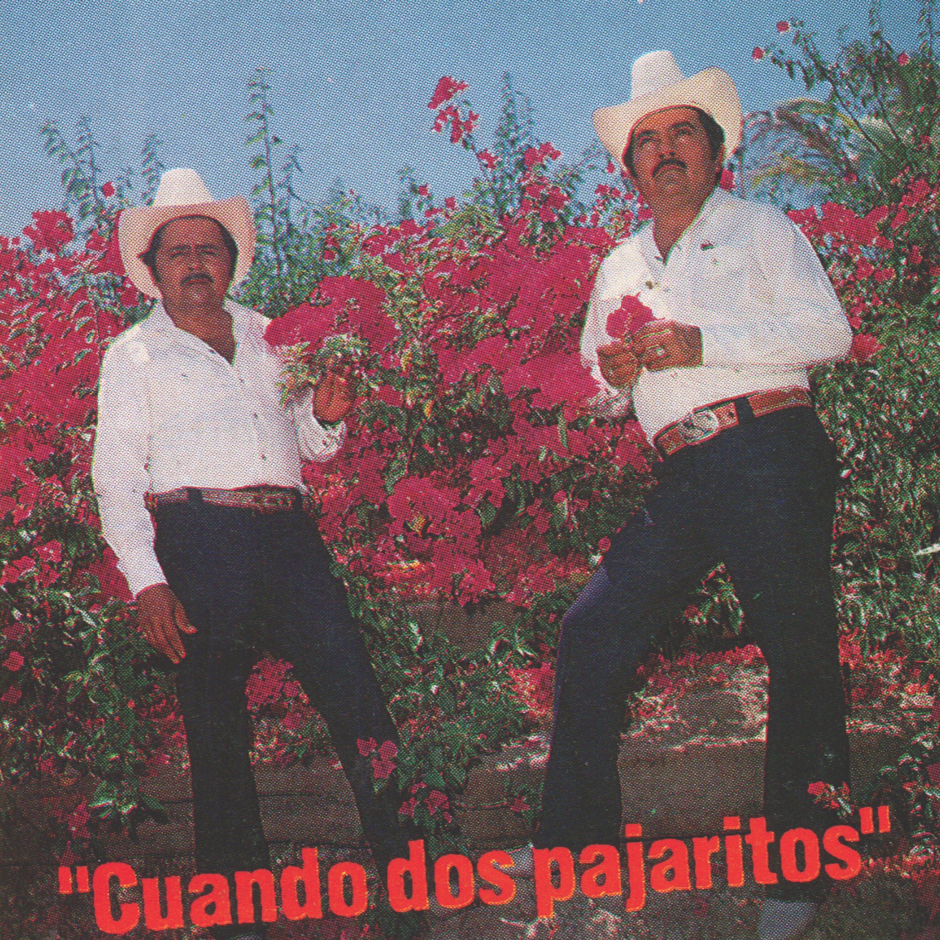 Релиз Cuando Dos Pajaritos