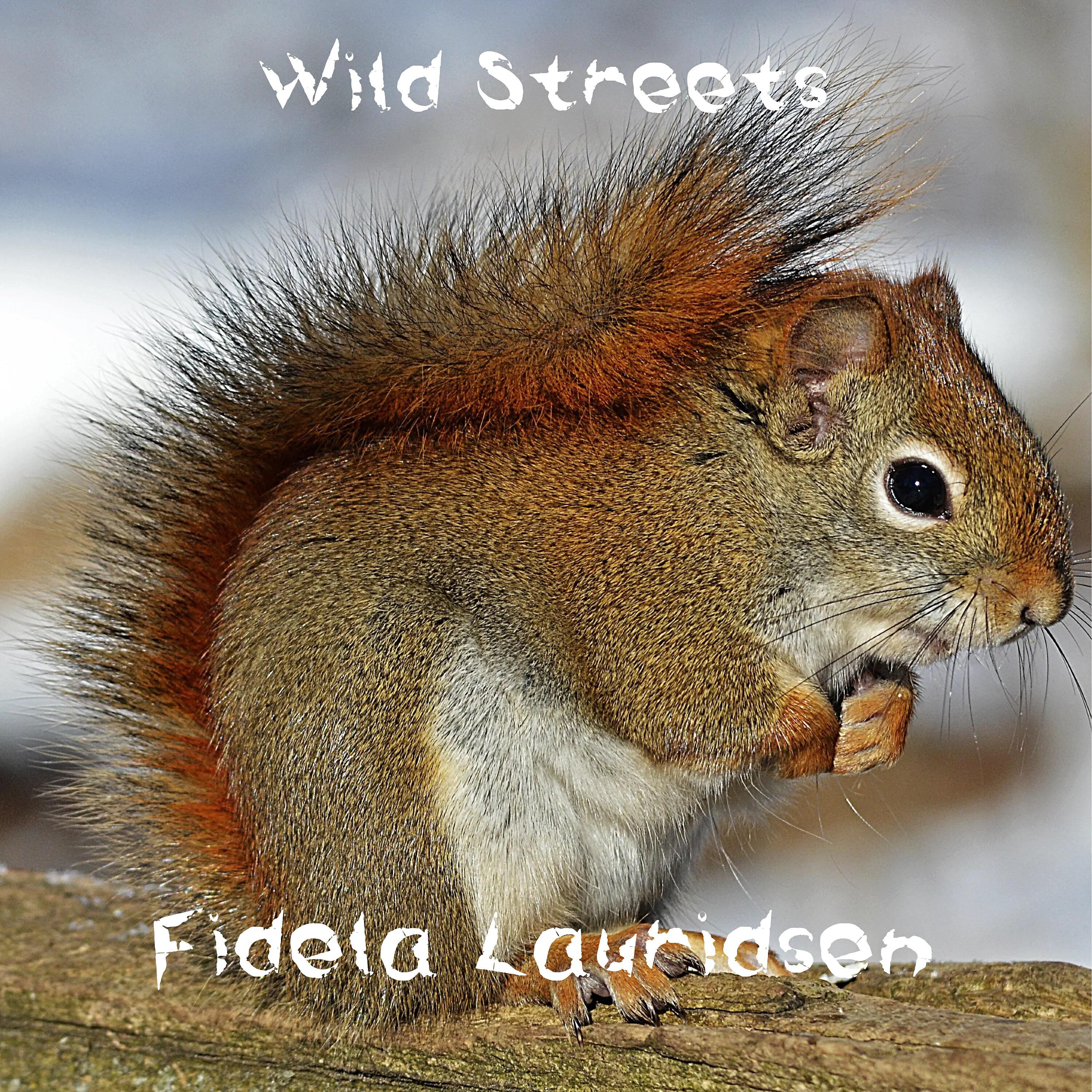 Релиз Wild Streets