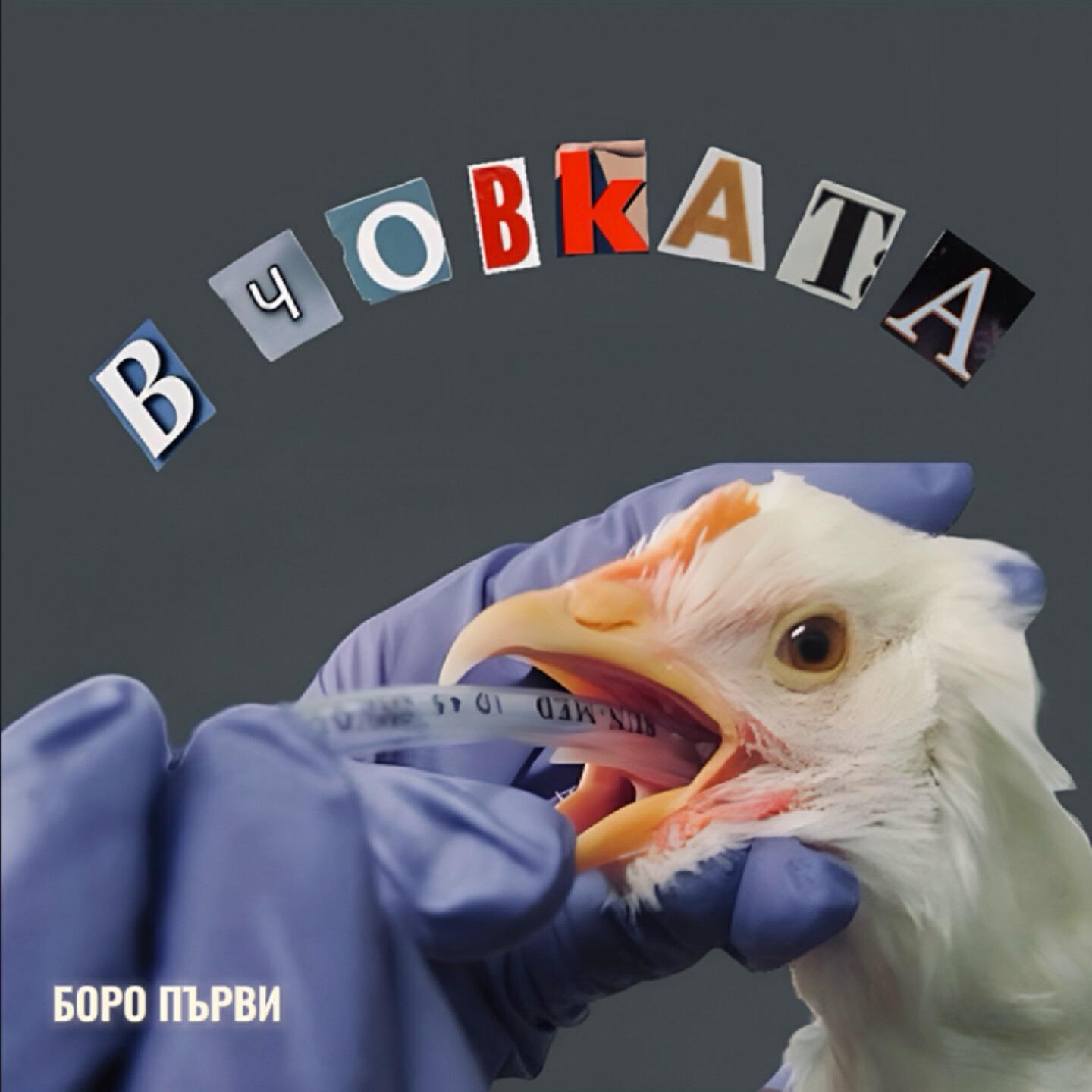 Релиз В човката