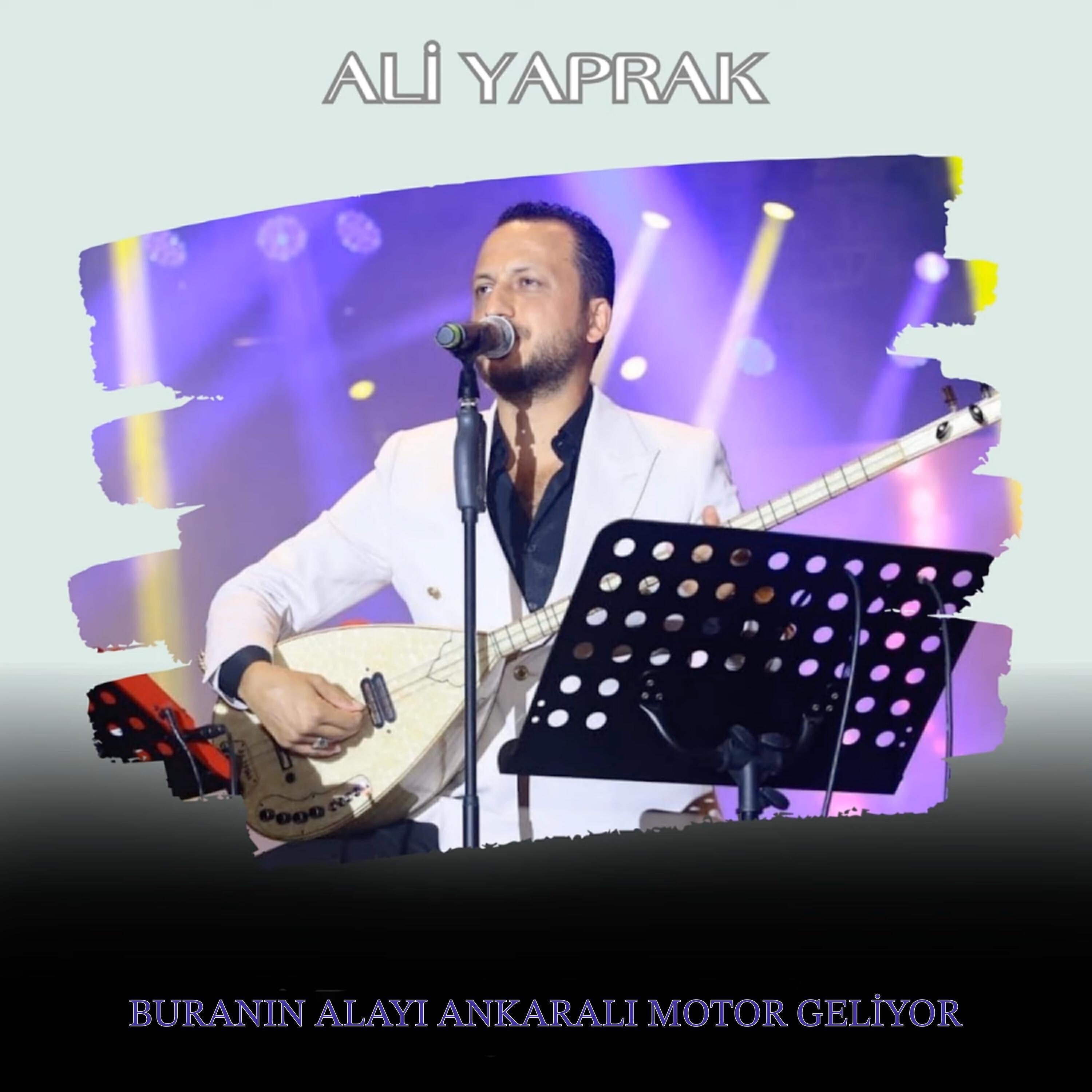 ANKARA KURTLAR VADİSİ