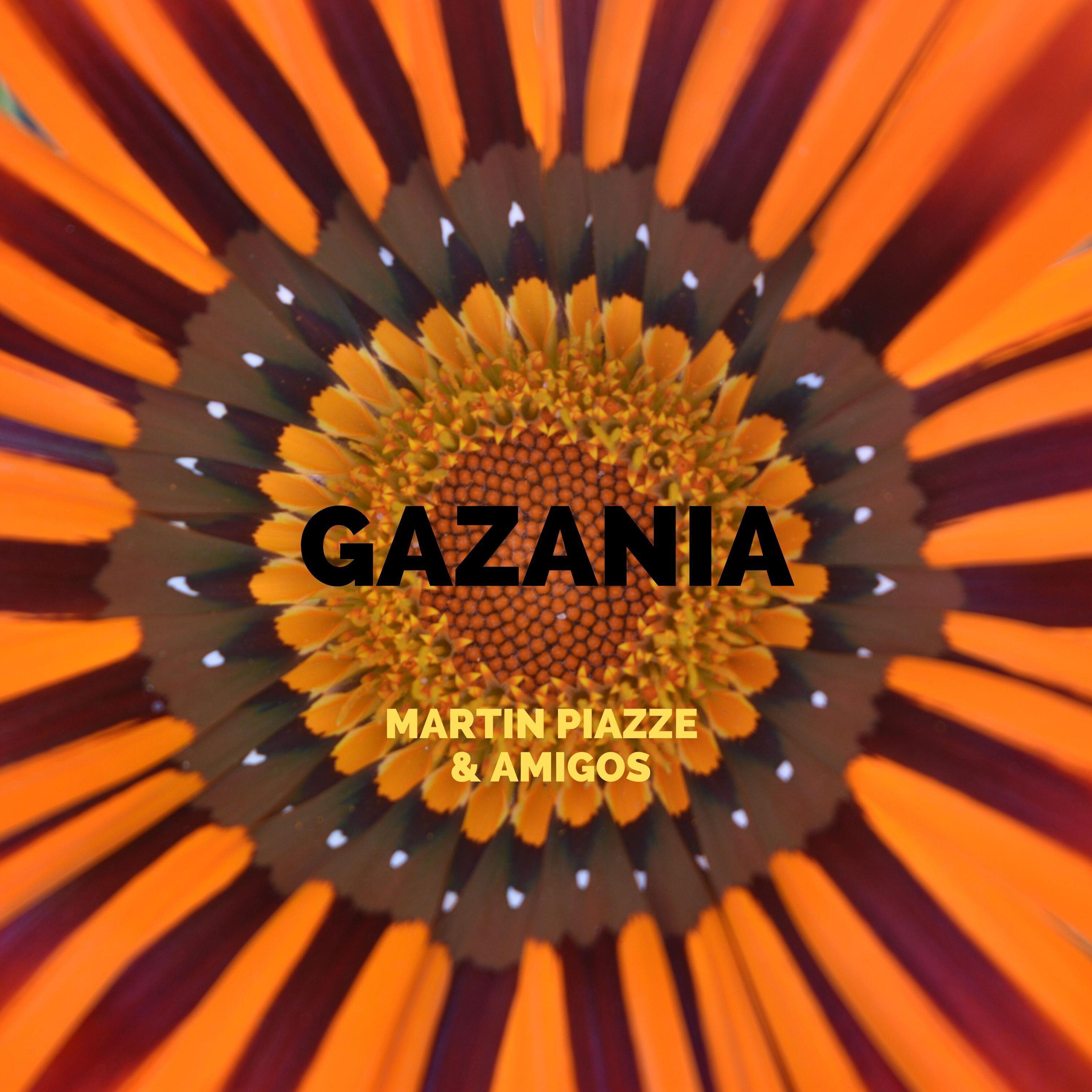 Релиз Gazania