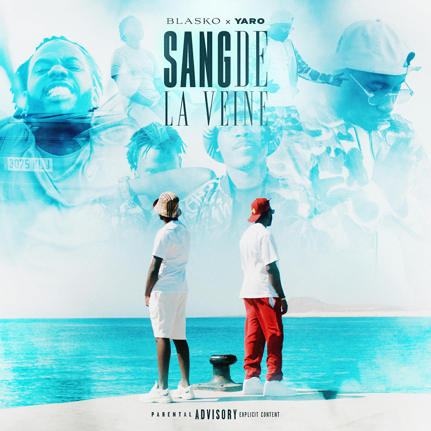 Релиз Sang de la veine