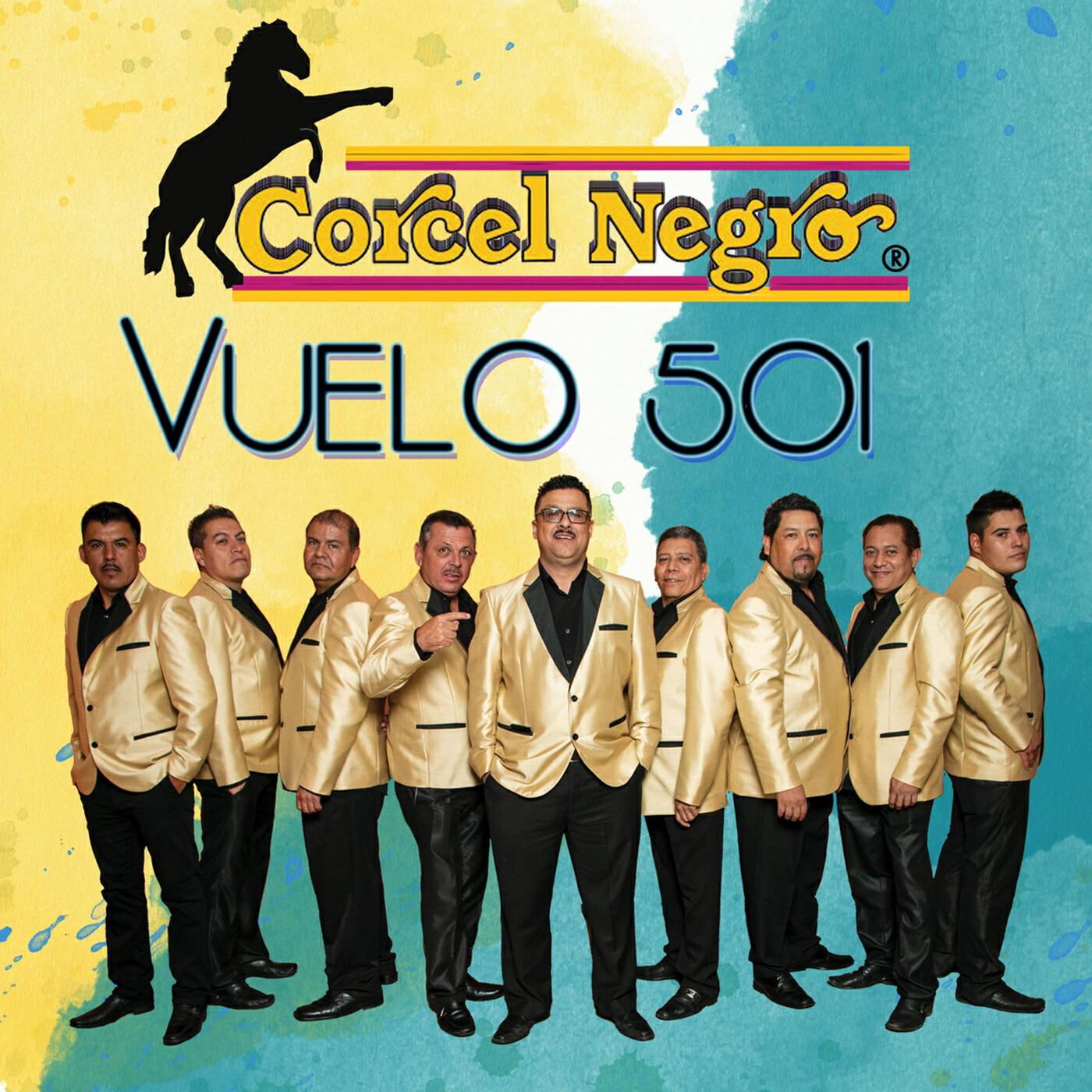 Релиз VUELO 501