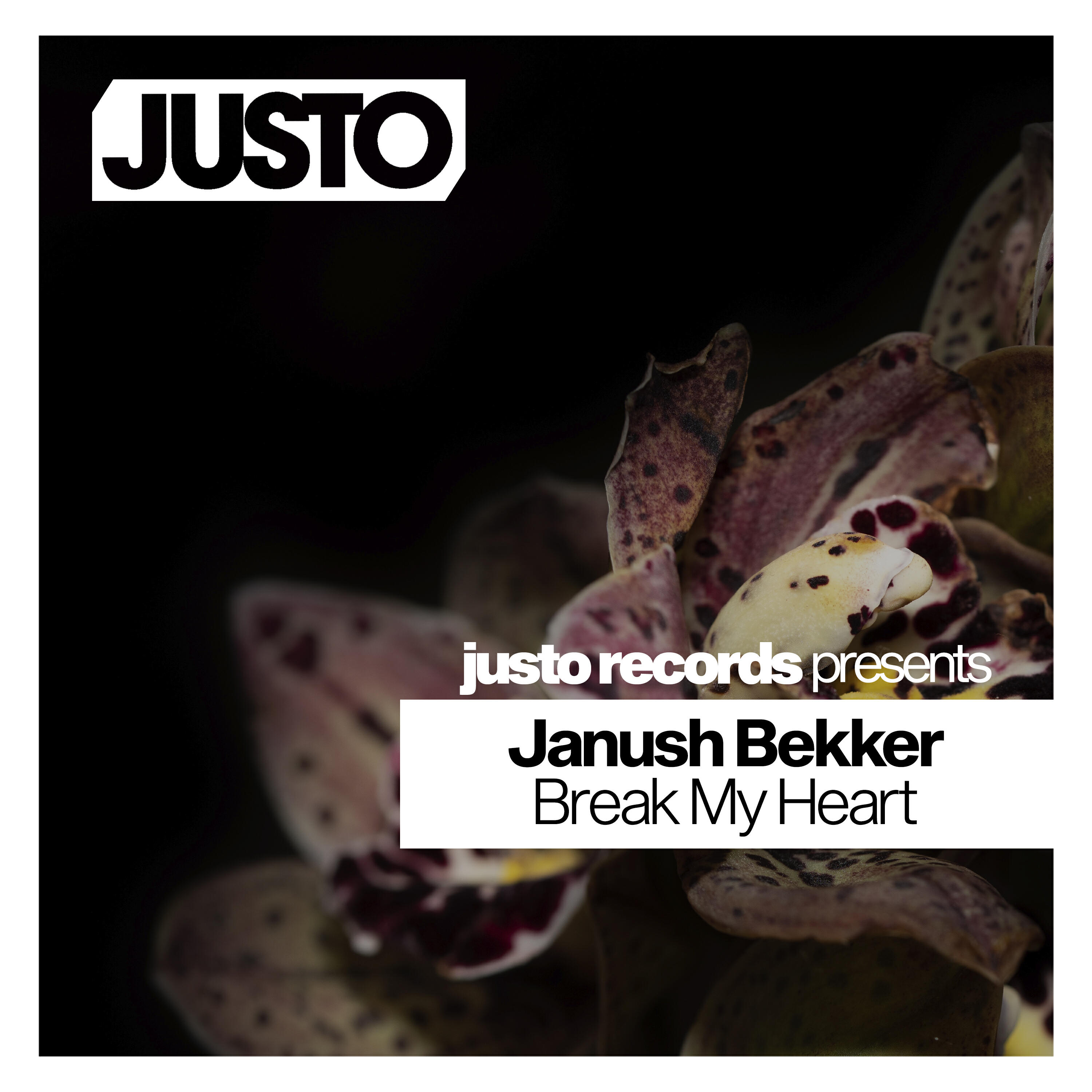 Релиз Break My Heart
