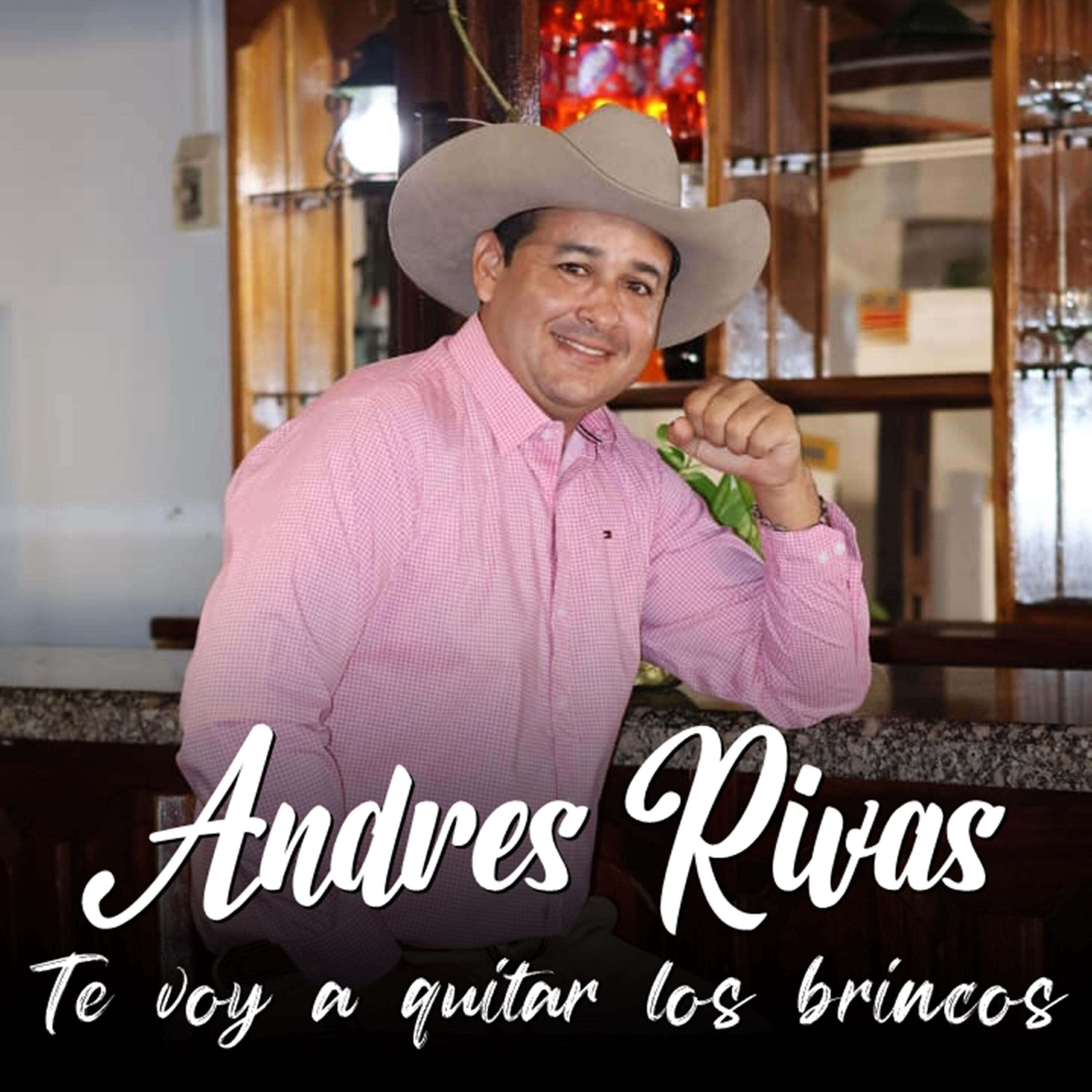 Релиз Te Voy a Quitar los Brincos