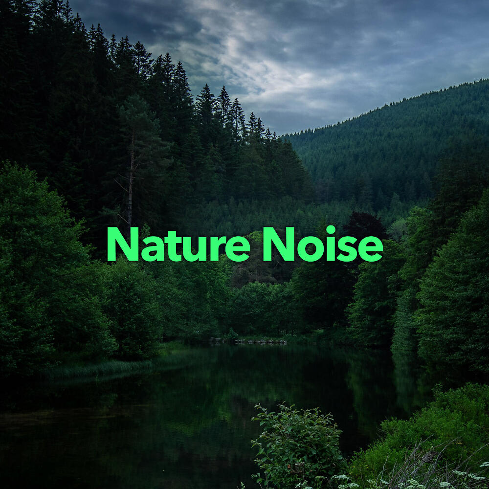 Релиз Nature Noise