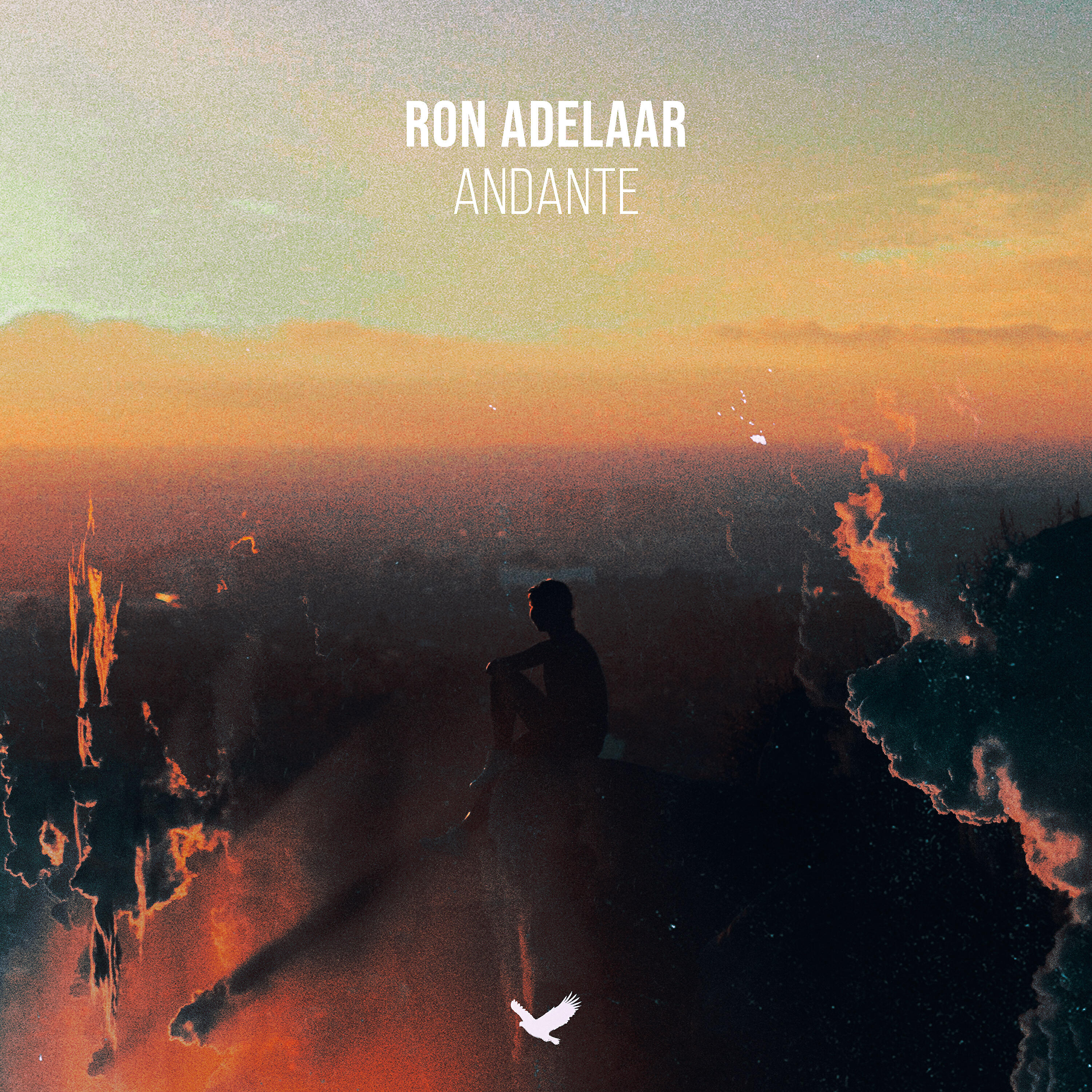 Релиз Andante