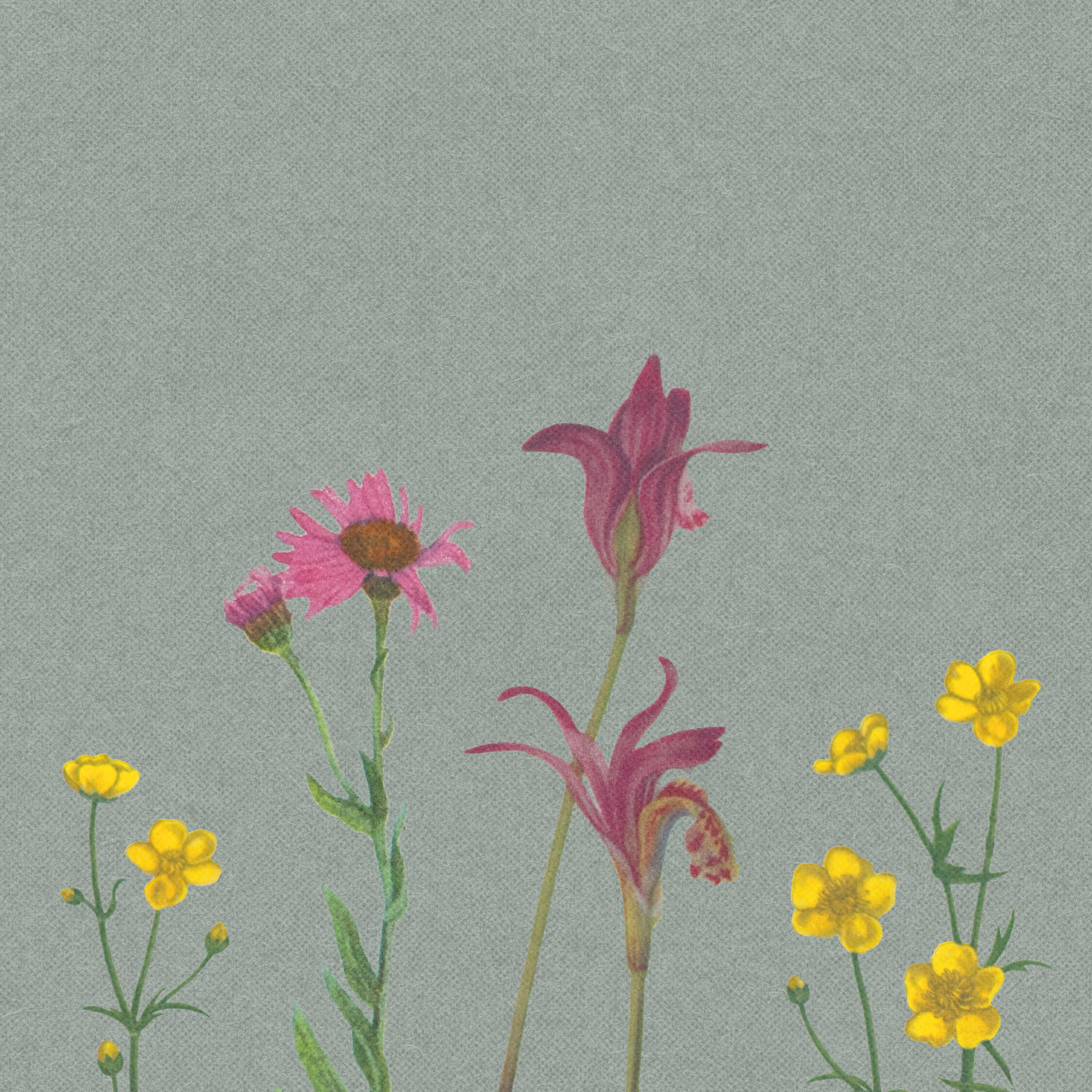 Релиз April Showers Bring May Flowers