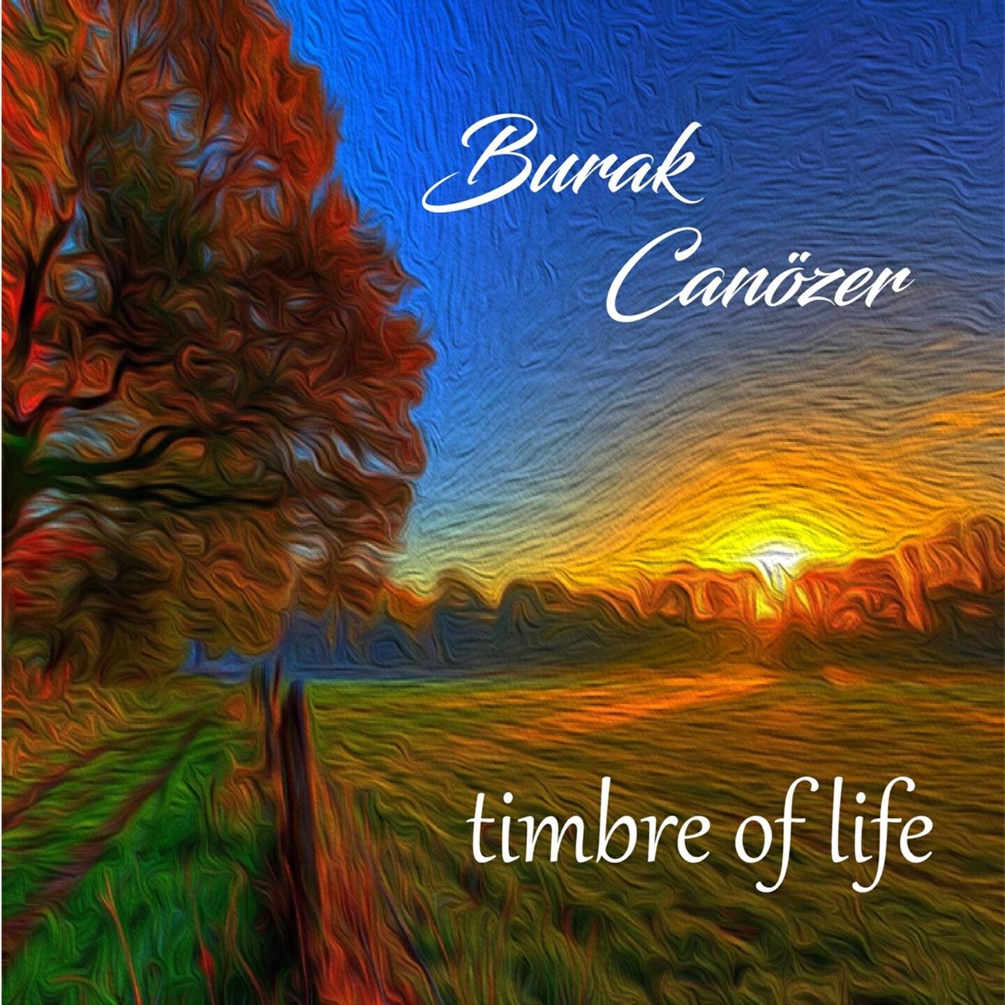Релиз Timbre Of Life
