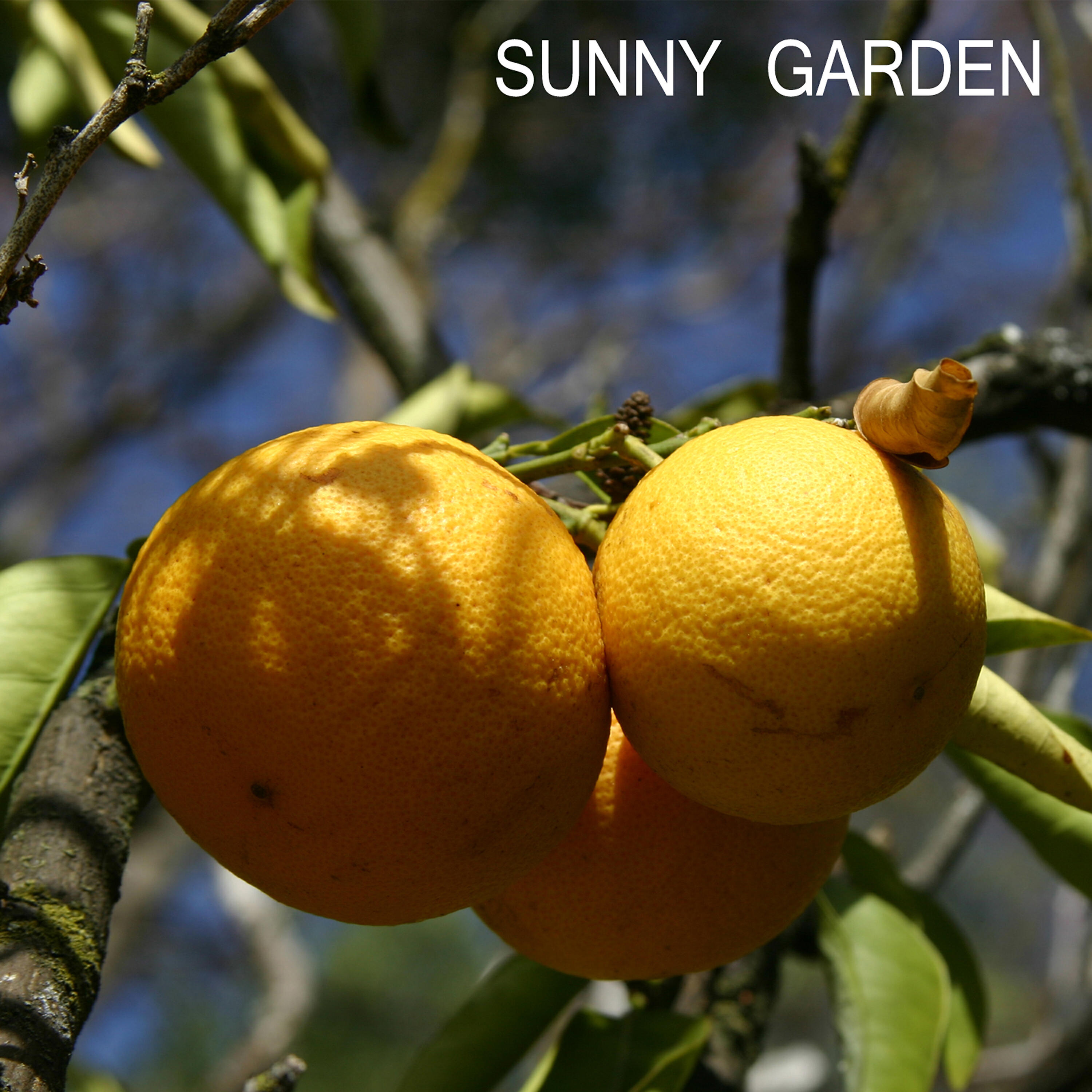 Постер альбома Sunny Garden