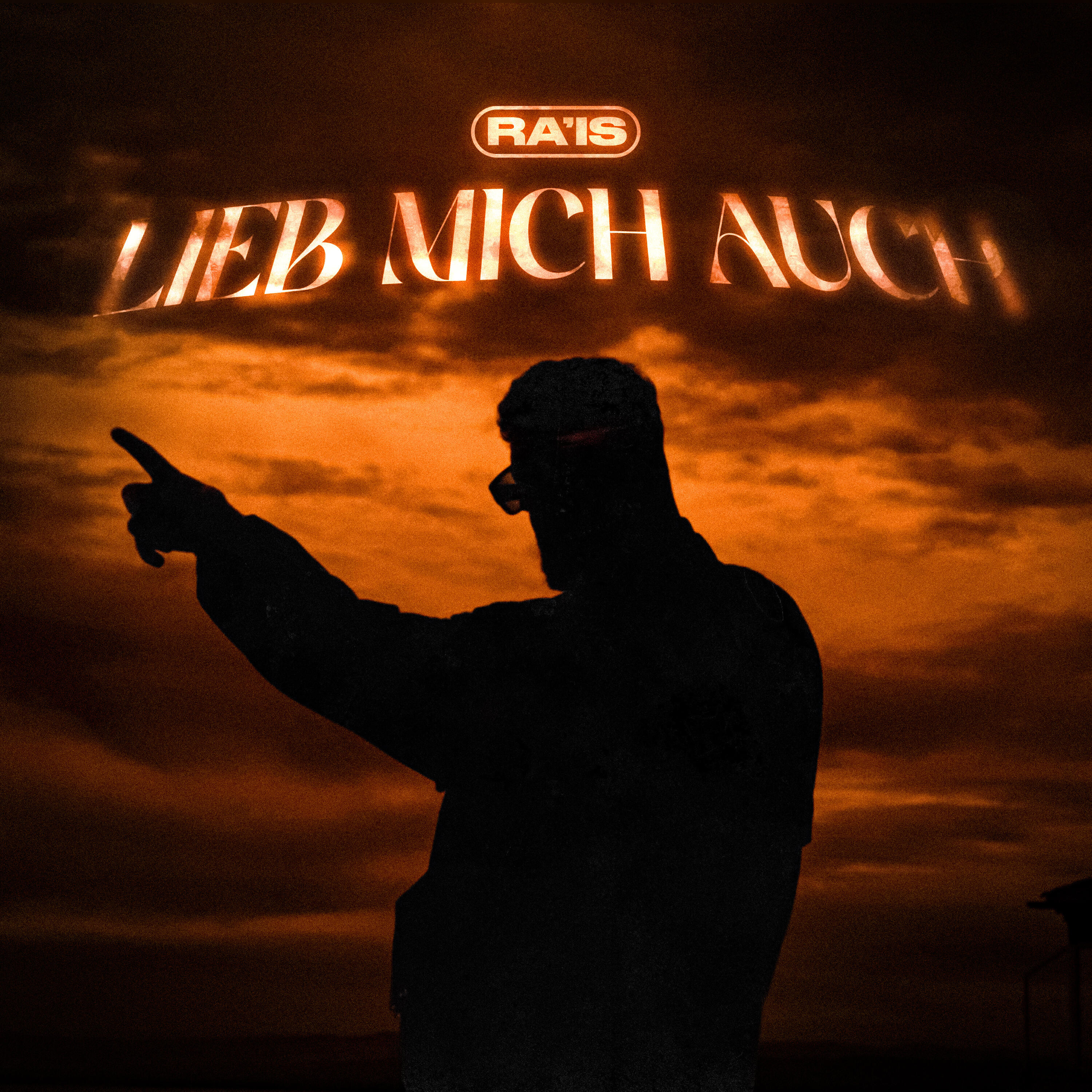Постер альбома Lieb mich auch