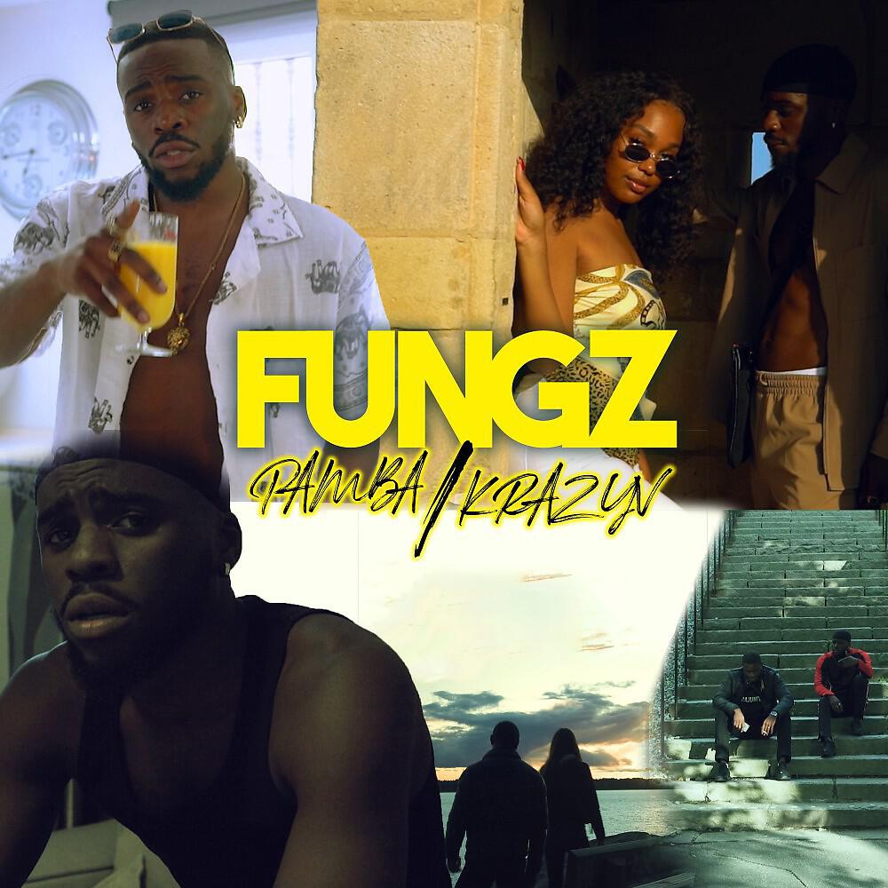 Скачать песню Fungz - PAMBA бесплатно в MP3 для Android и iOS