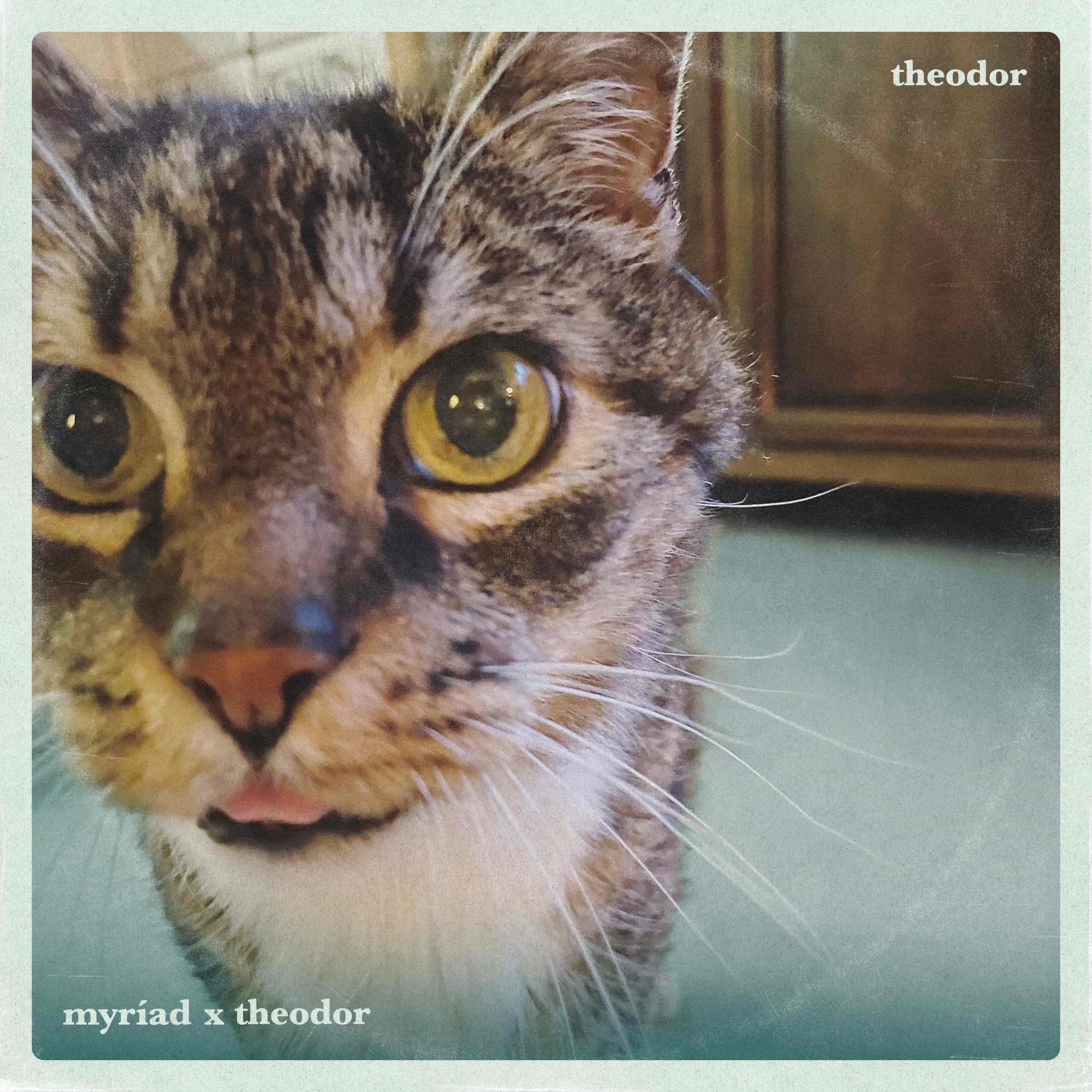 Релиз Theodor
