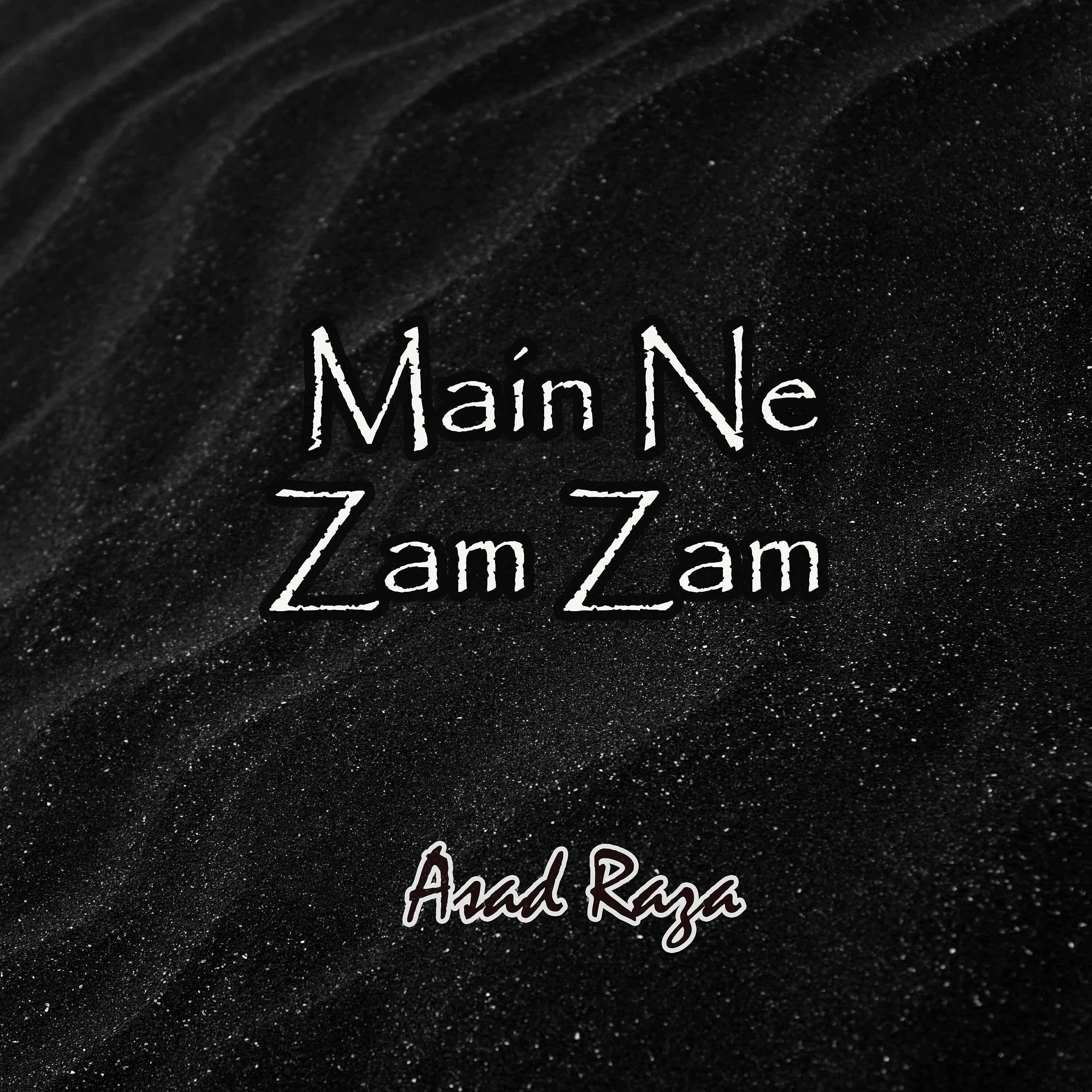 Релиз Main Ne Zam Zam