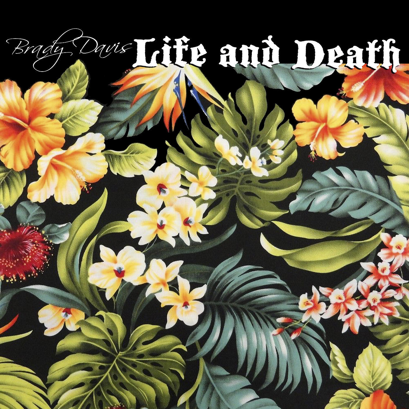 Релиз Life and Death