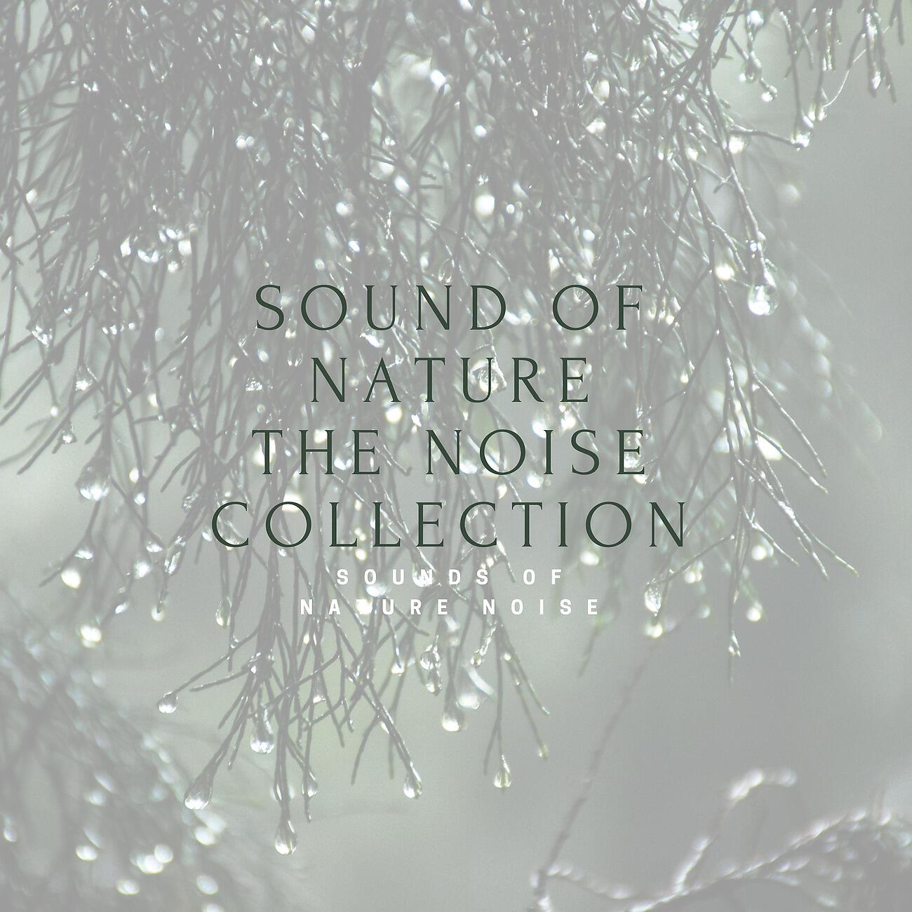 Релиз Sound of Nature: The Noise Collection