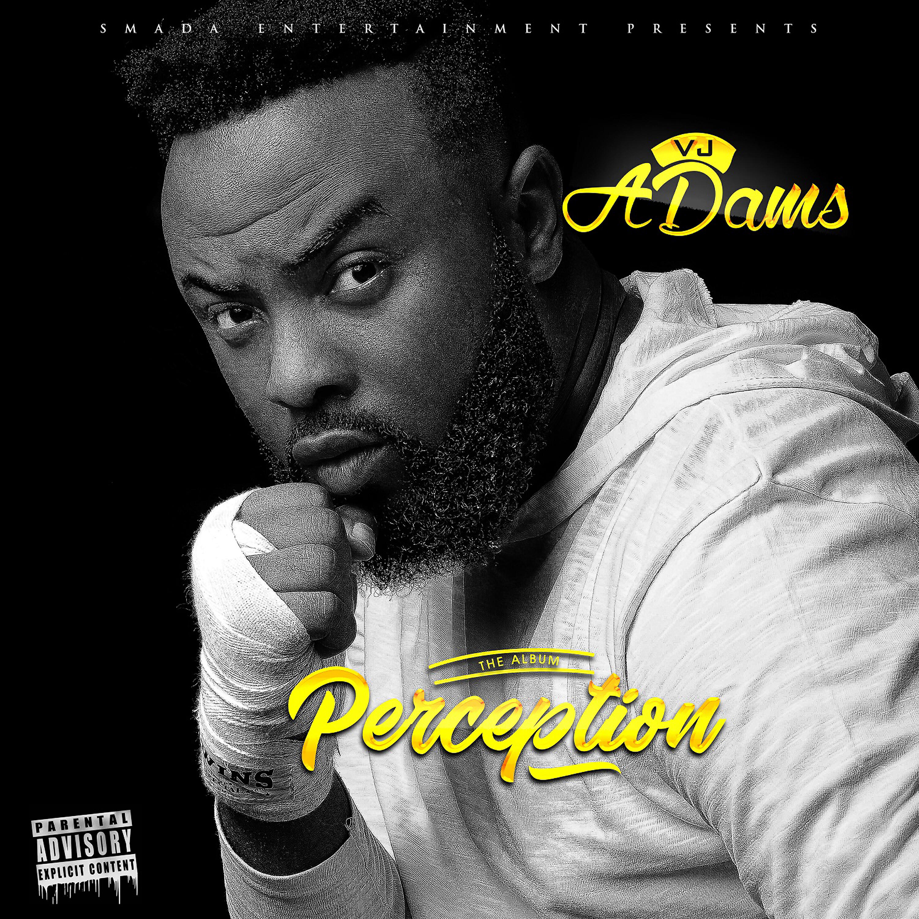 Релиз Perception