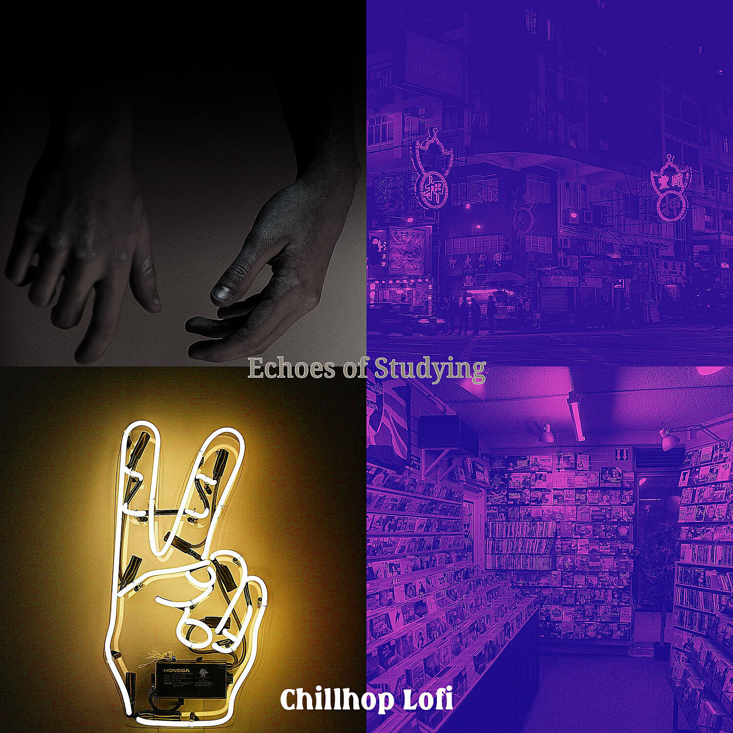 Постер альбома Echoes of Studying