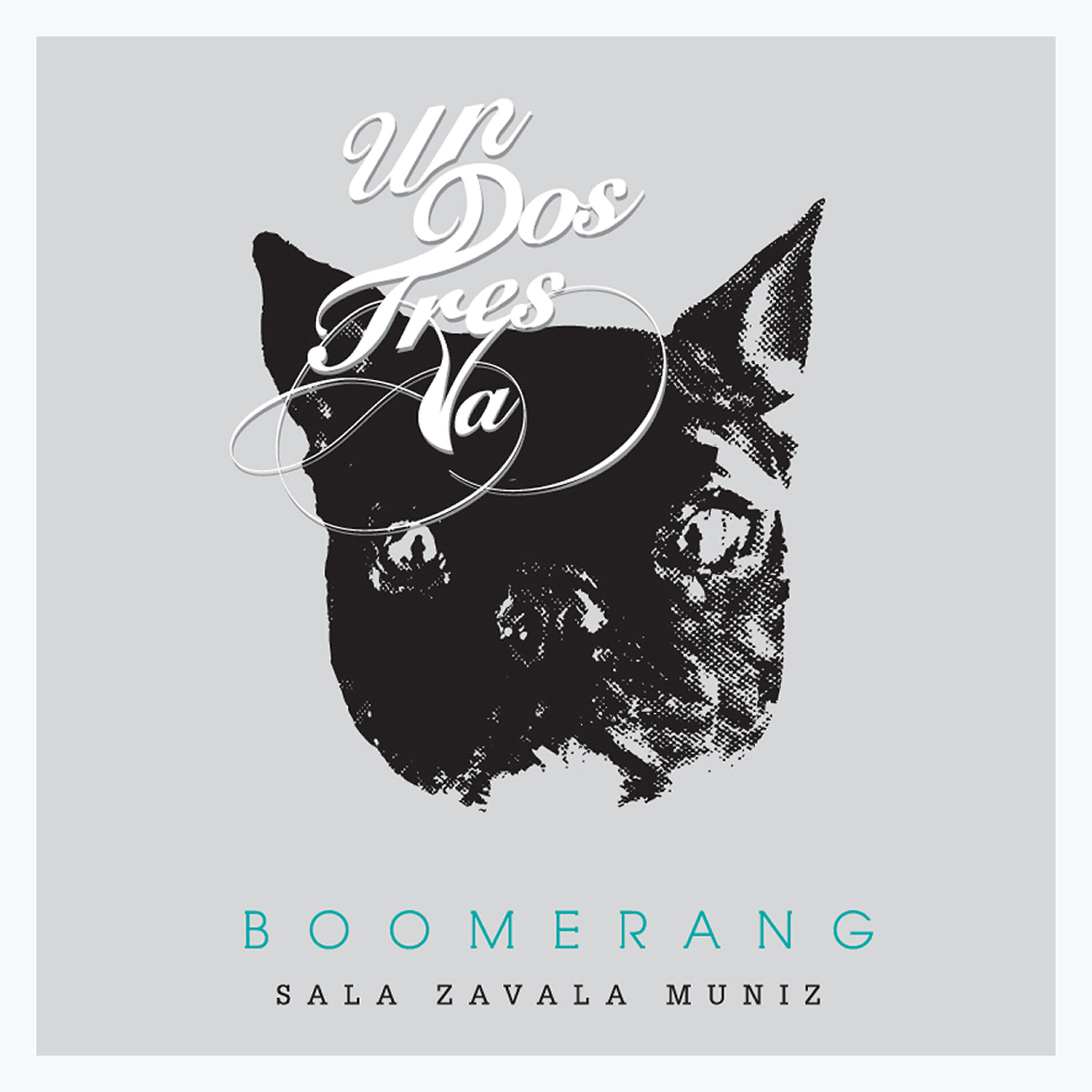 Скачать песню Boomerang, Socio, Federico Lima - Gris (En Vivo) бесплатно в MP3 для Android и iOS