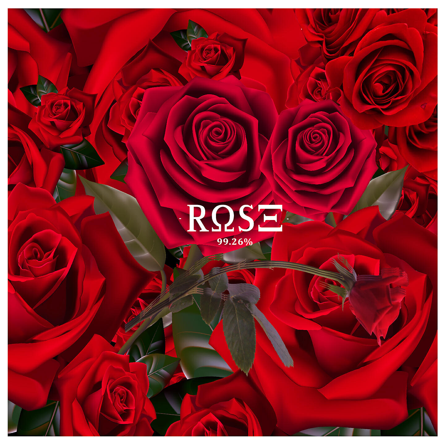 Релиз Rose