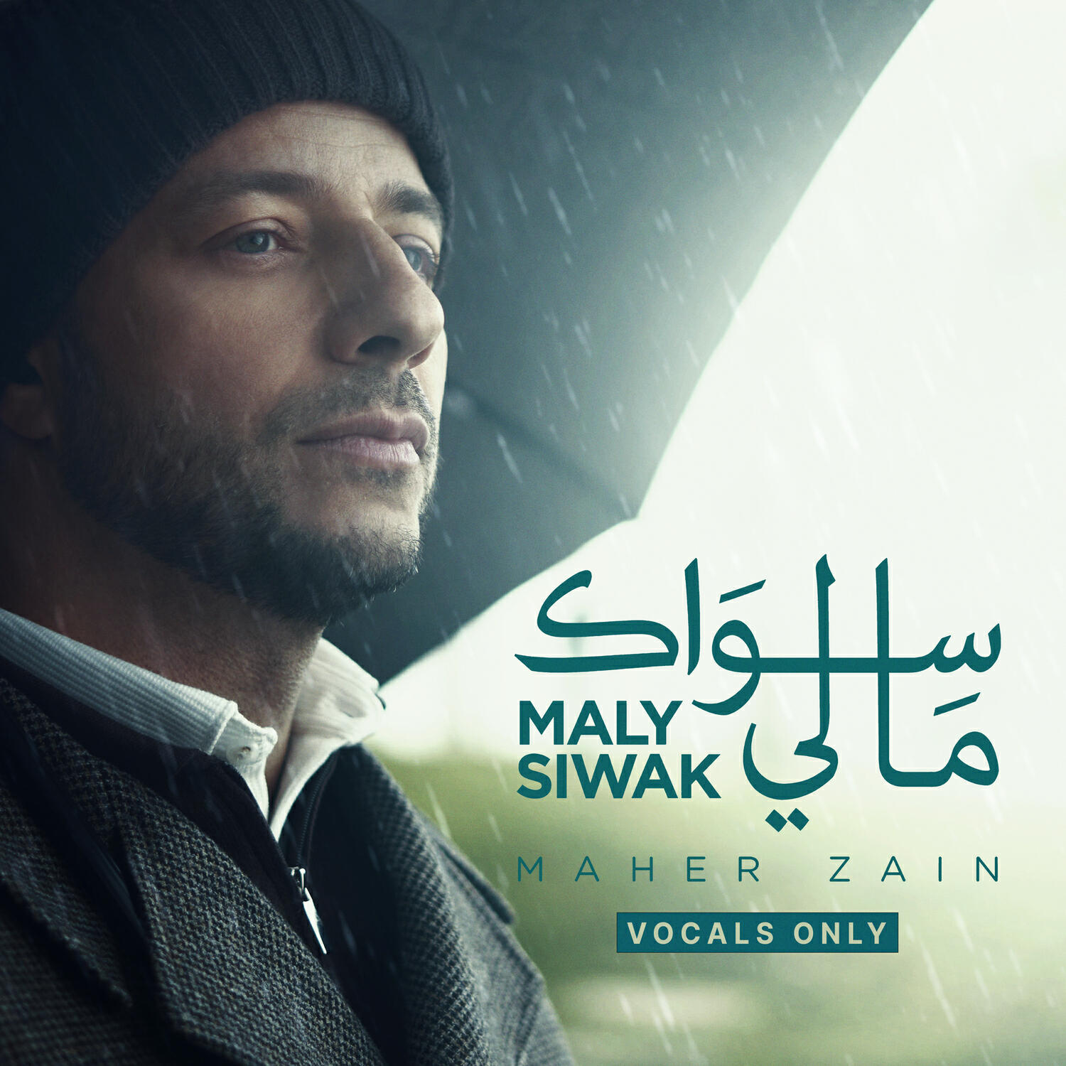 Релиз Maly Siwak