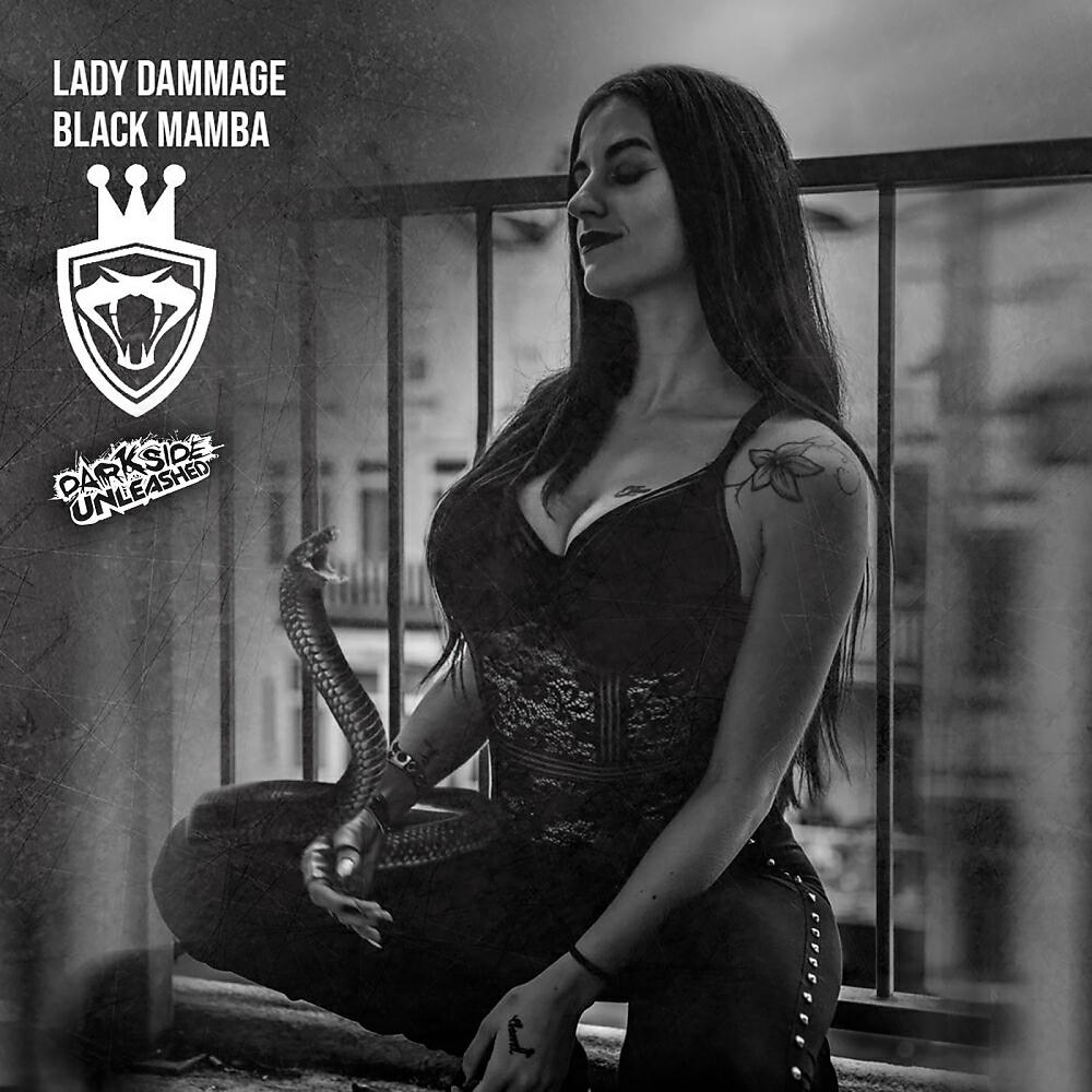 Скачать песню Lady Dammage - Black Mamba (Original Mix) бесплатно в MP3 для Android и iOS