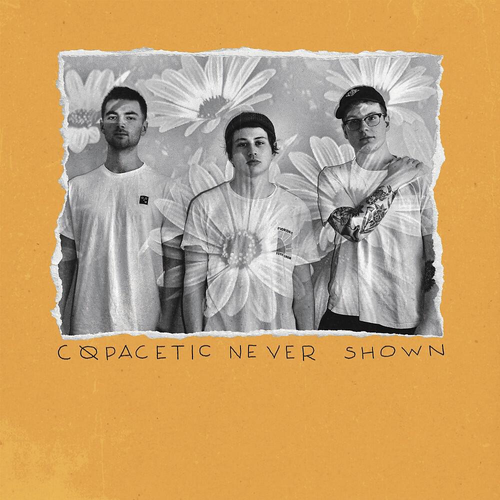 Релиз Never Shown