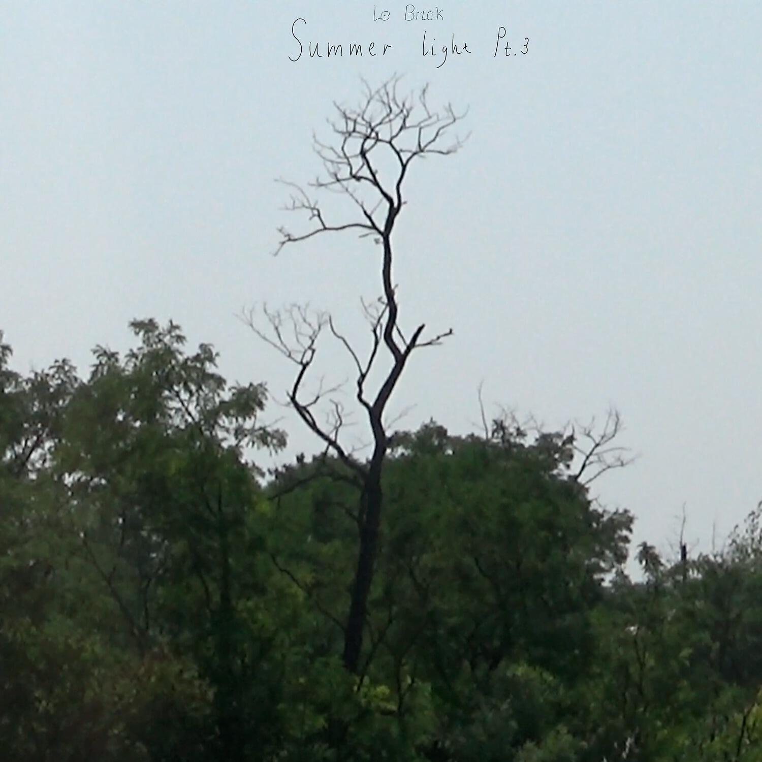 Постер альбома Summer Light, Pt. 3