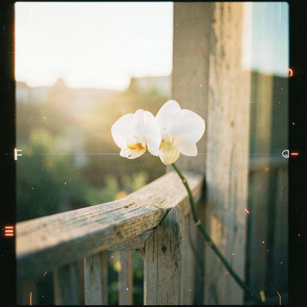 Релиз You’re in me like a light