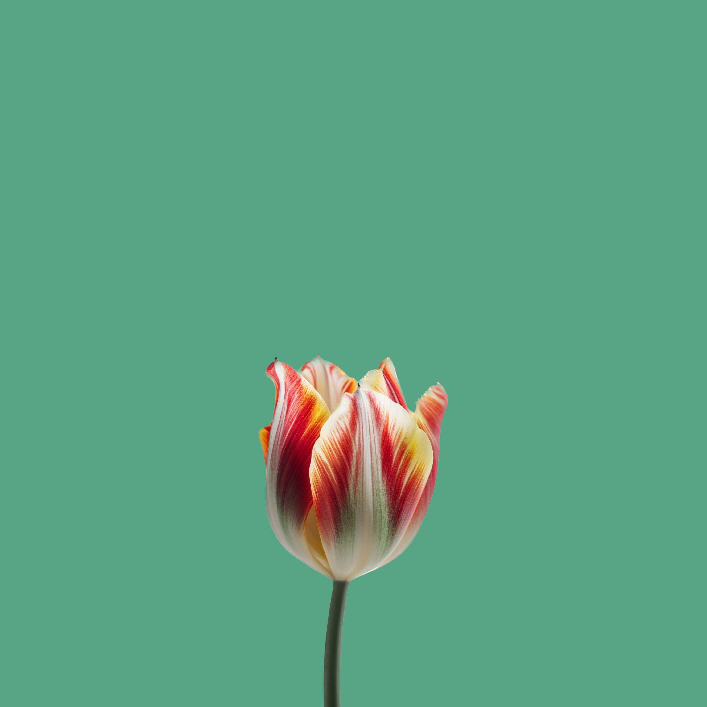 Релиз all things