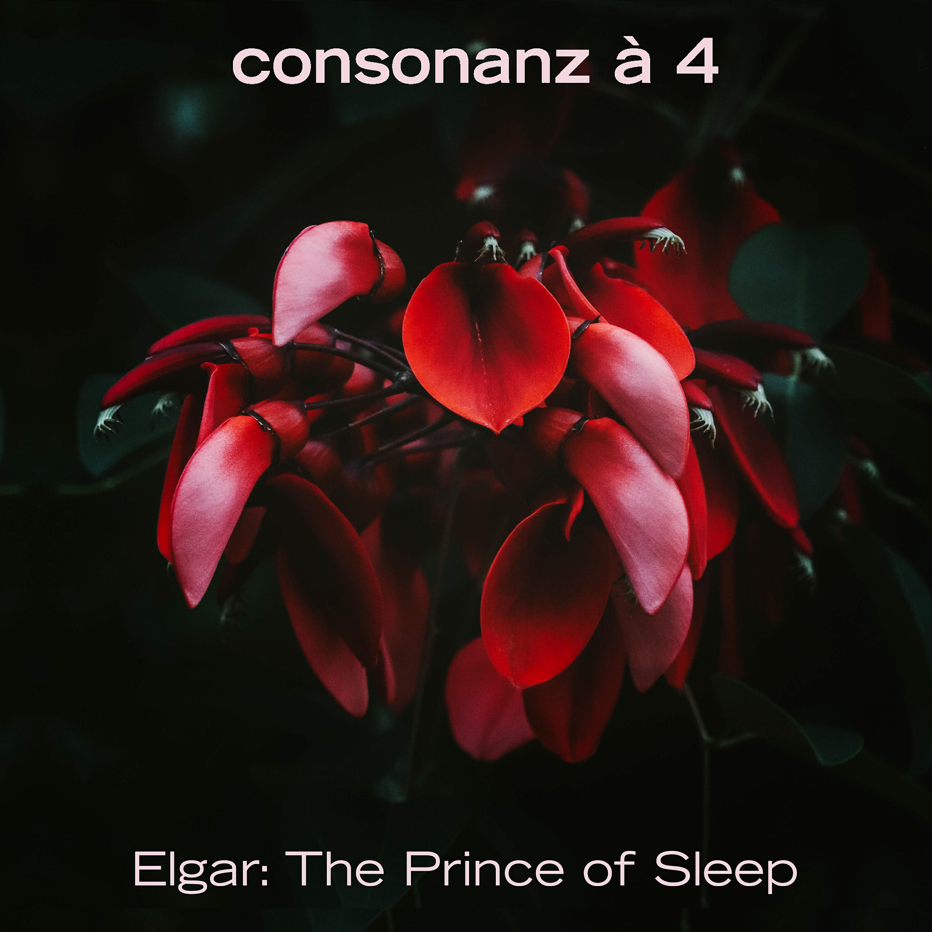 Релиз The Prince of Sleep