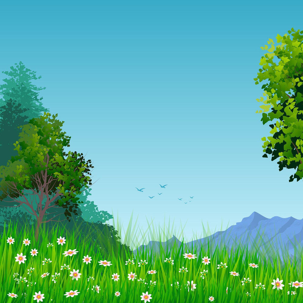 Релиз Sudden Green