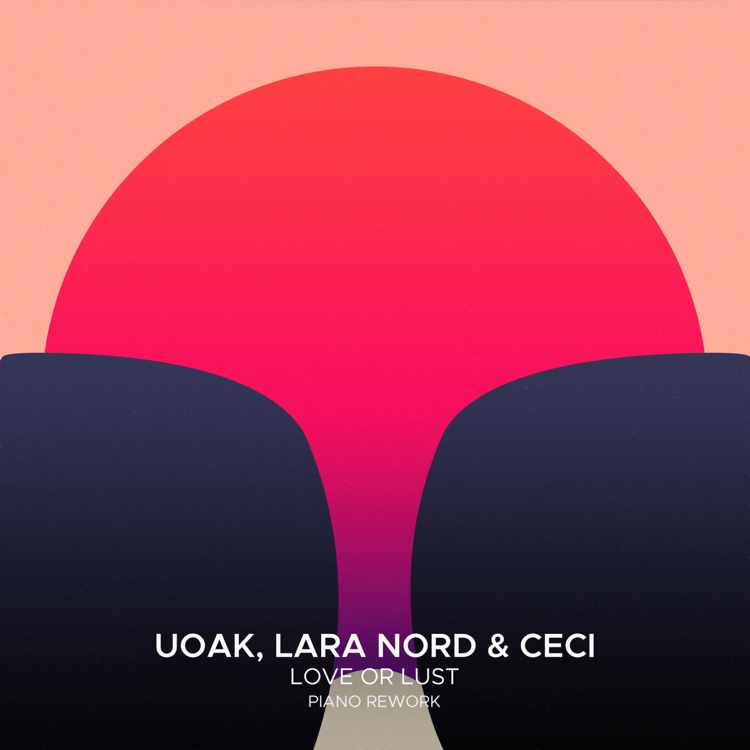 Релиз Love or Lust (Piano Rework)