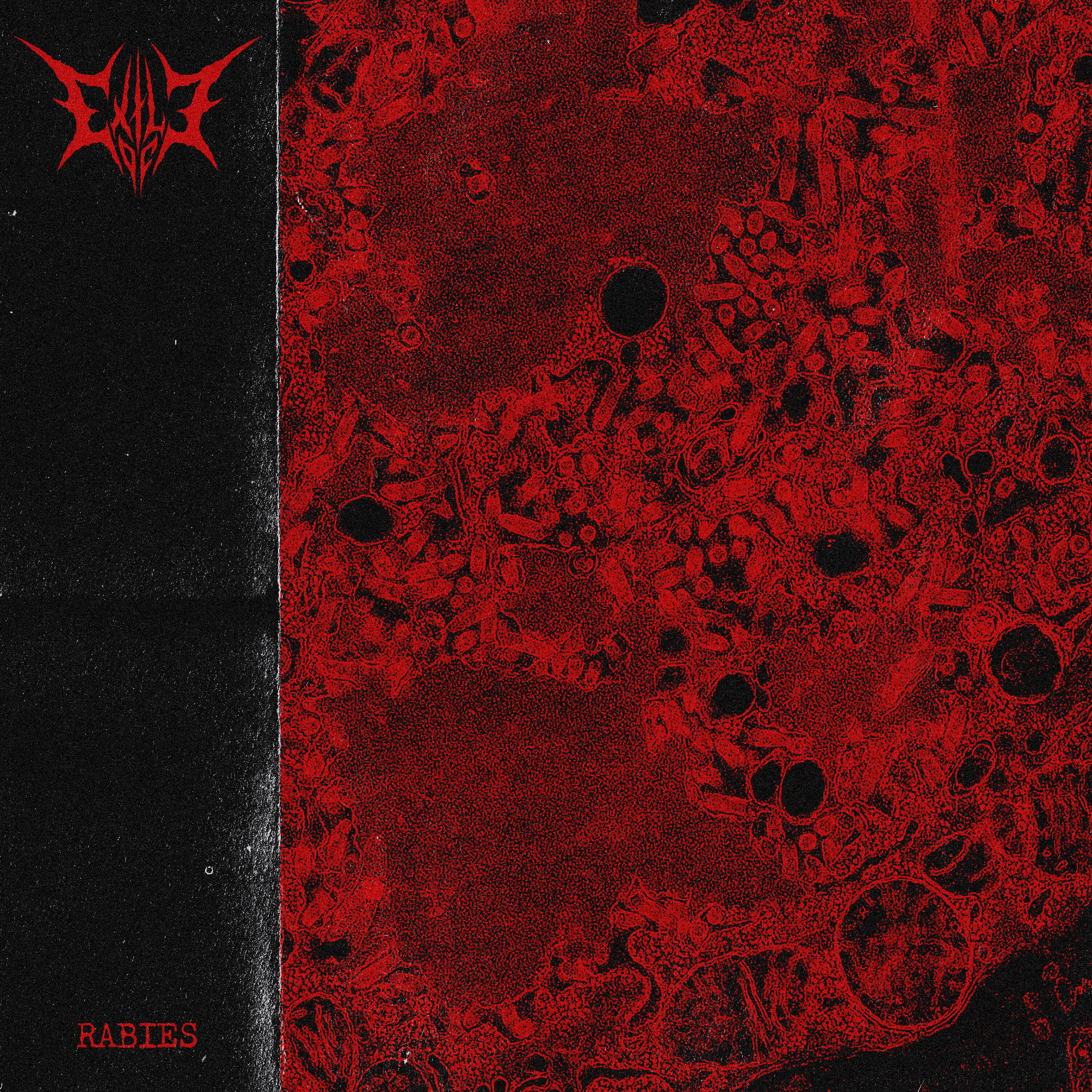 Релиз Rabies