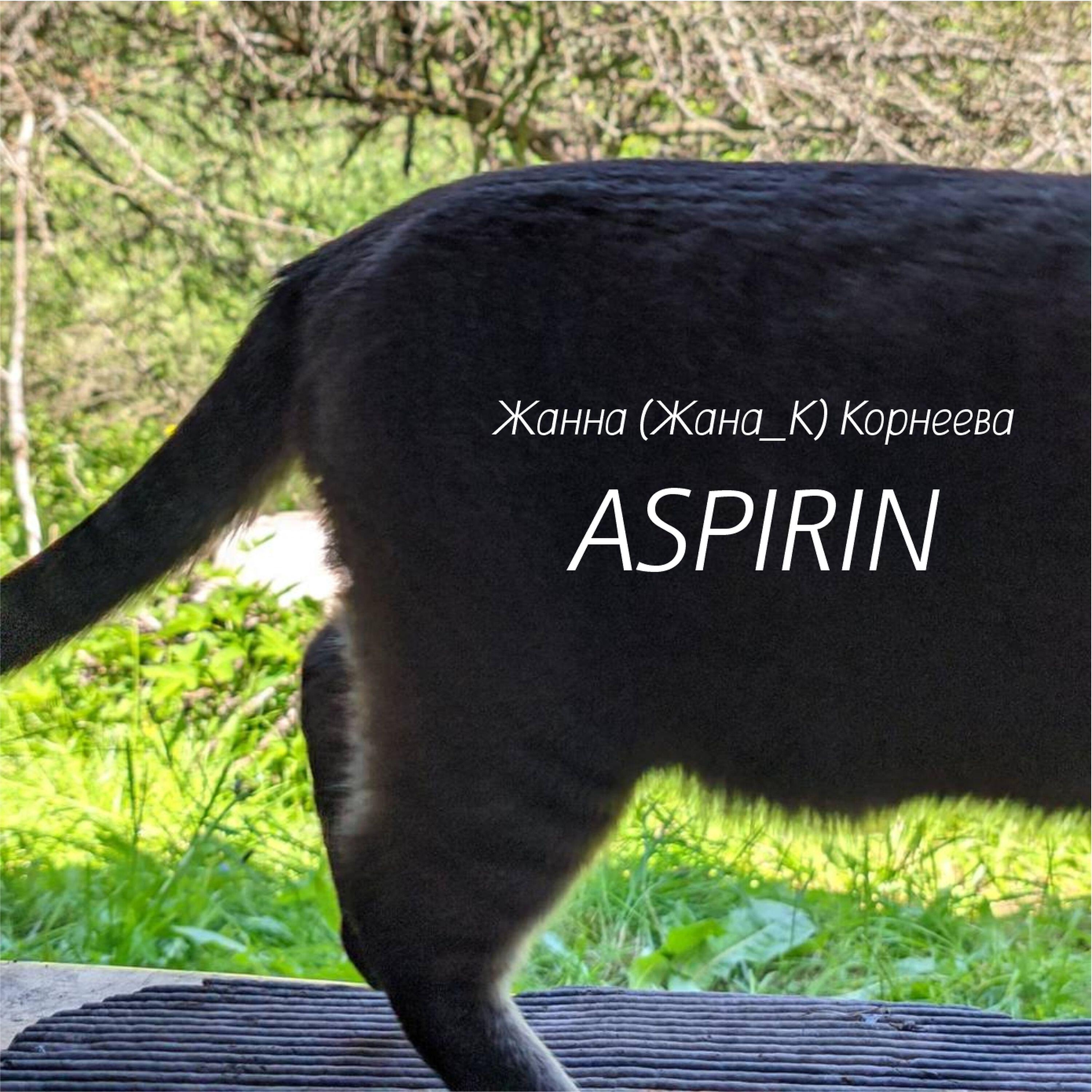 Релиз Aspirin