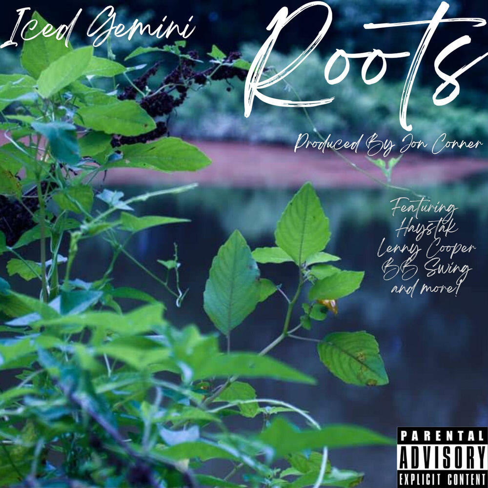 Релиз Roots