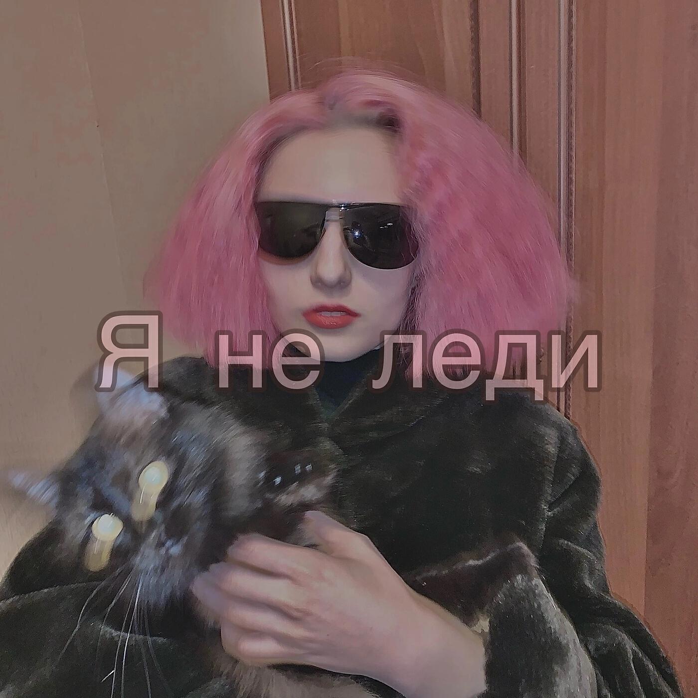 Постер альбома Я не леди
