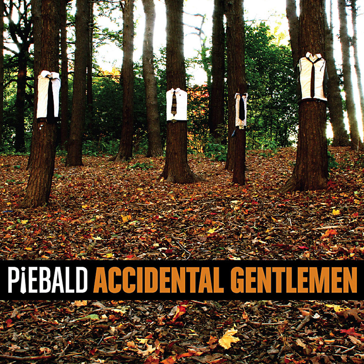 Релиз Accidental Gentleman
