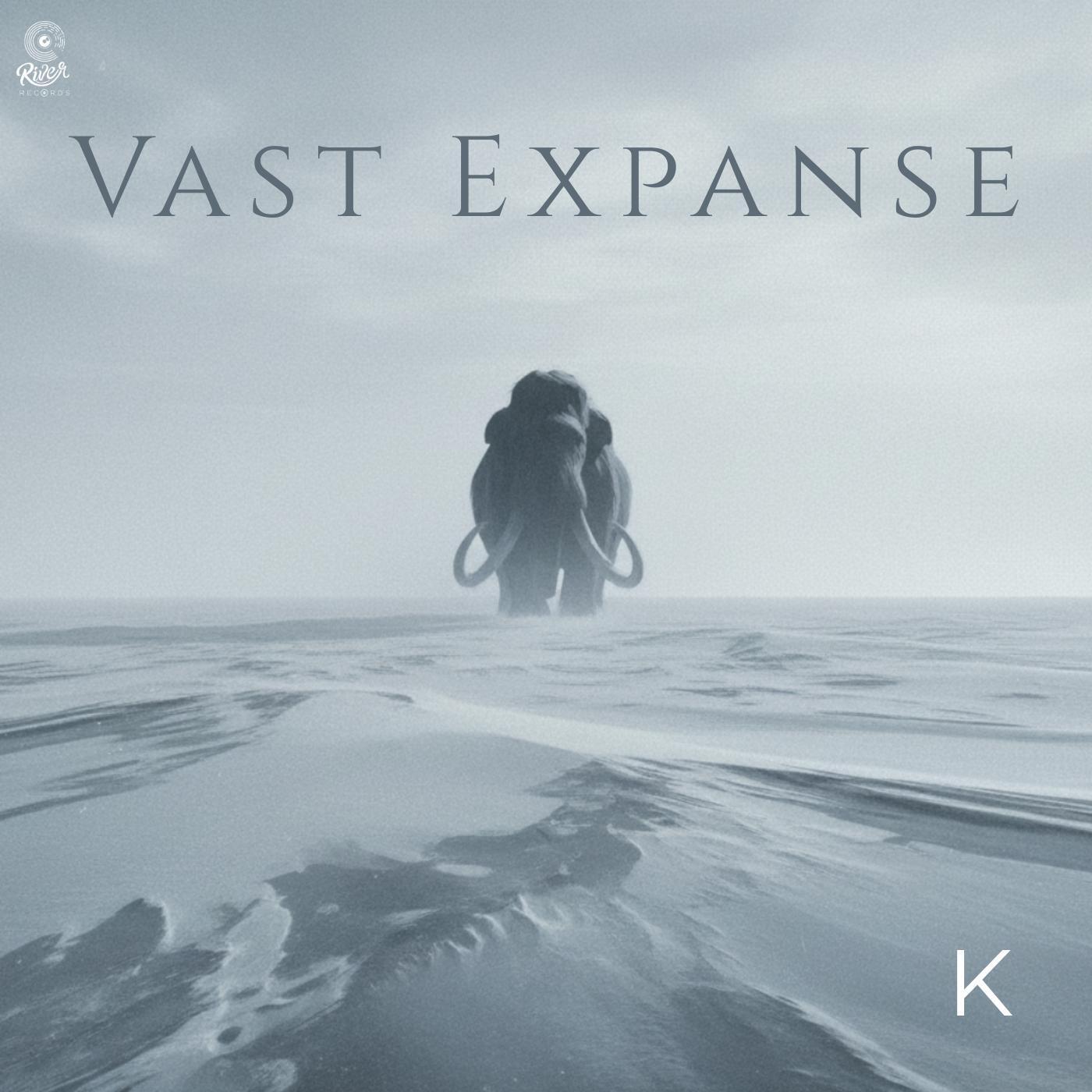 Релиз Vast Expanse