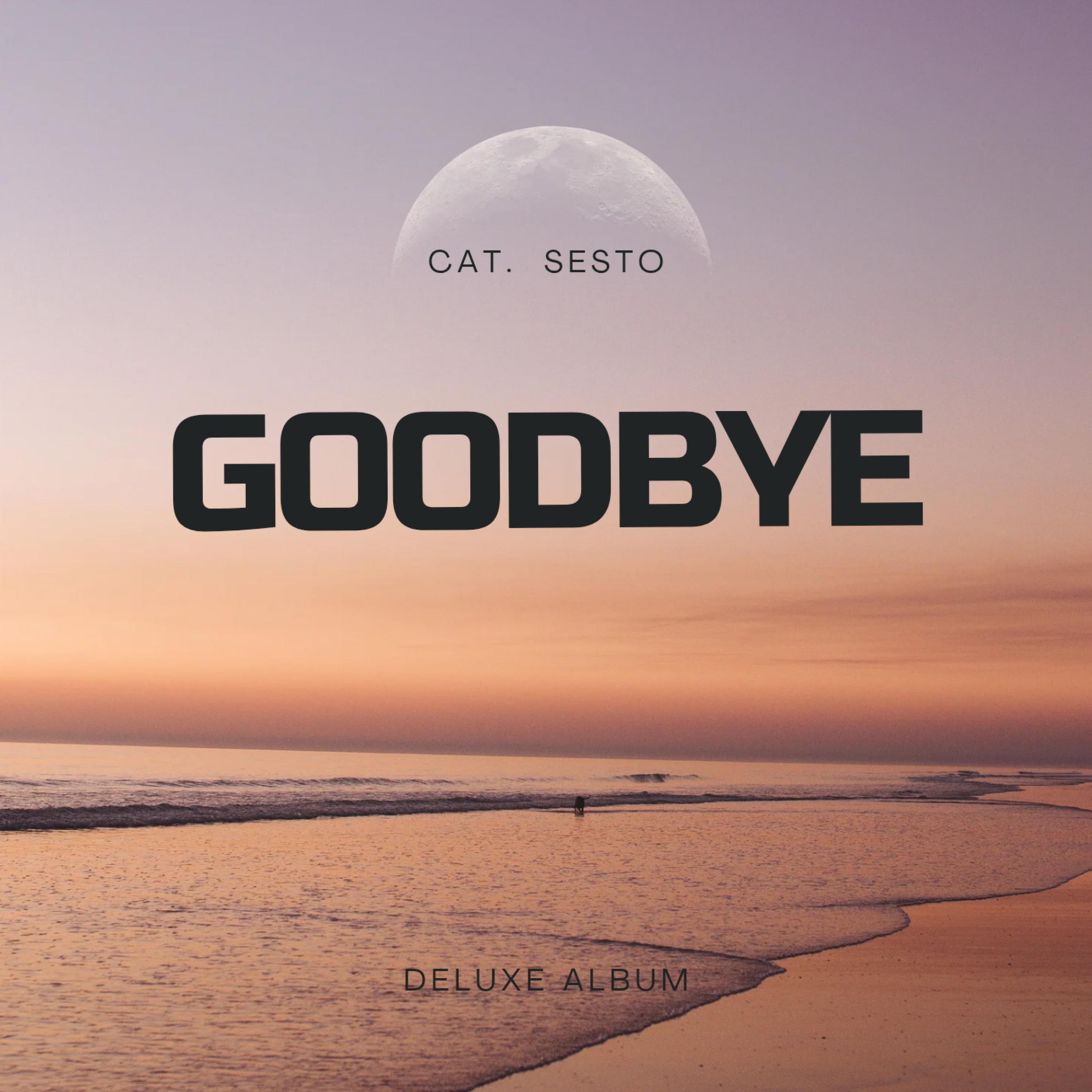 Релиз Goodbye
