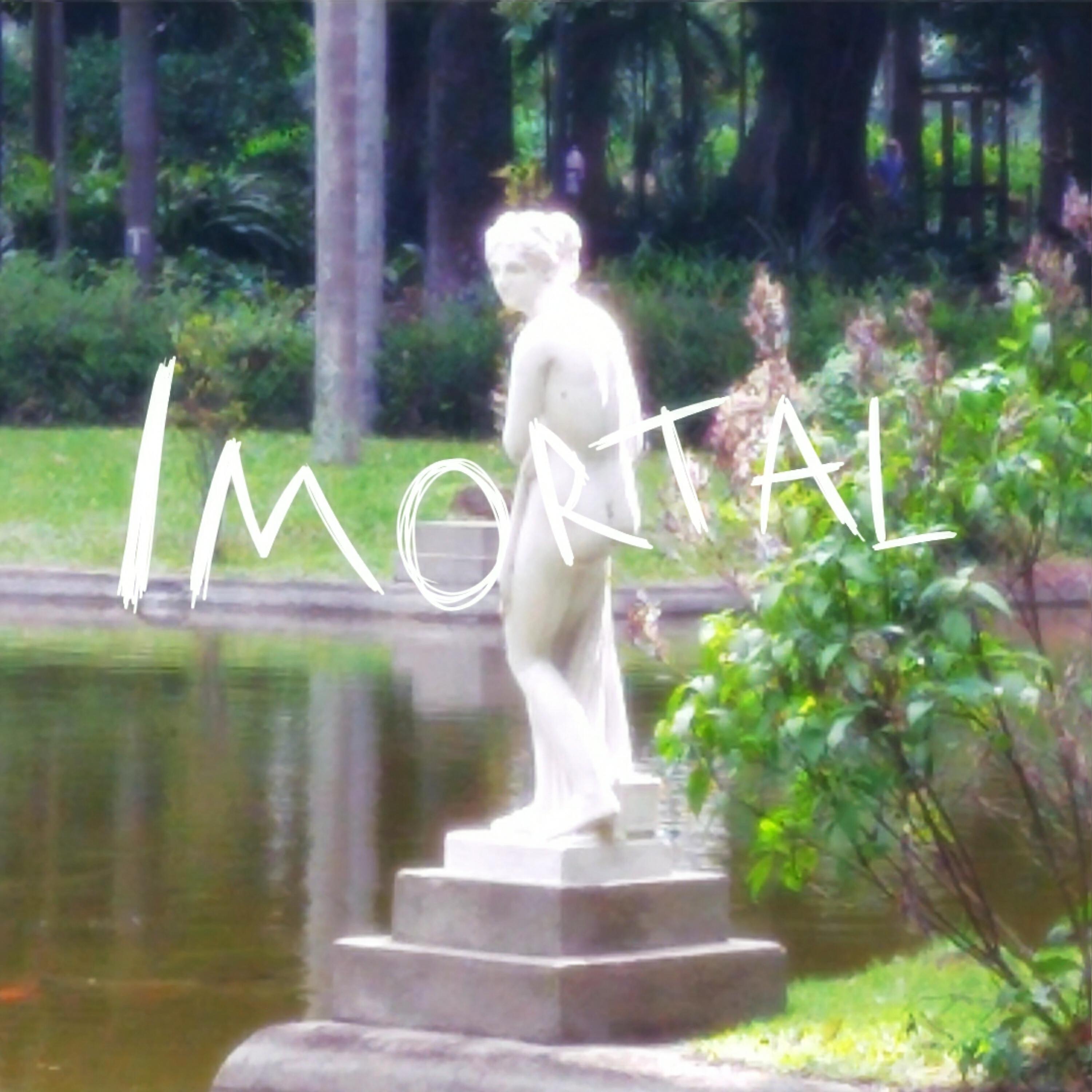 Релиз imortal